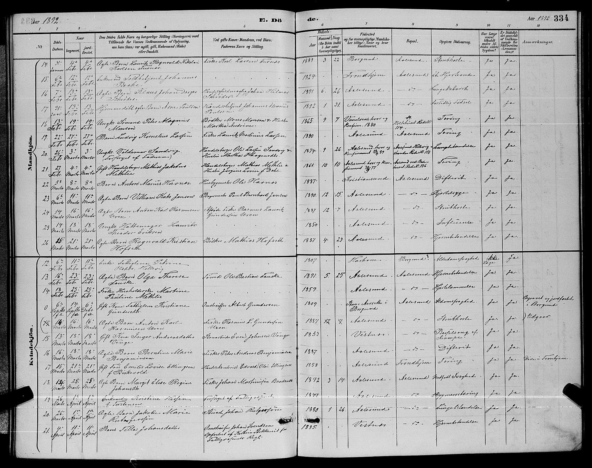 Ministerialprotokoller, klokkerbøker og fødselsregistre - Møre og Romsdal, AV/SAT-A-1454/529/L0467: Parish register (copy) no. 529C04, 1889-1897, p. 334