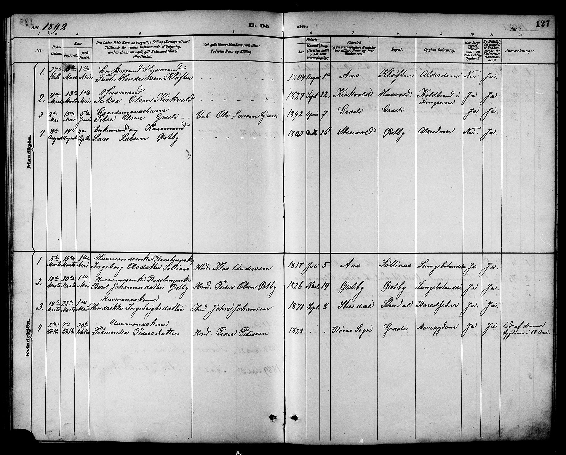 Ministerialprotokoller, klokkerbøker og fødselsregistre - Sør-Trøndelag, AV/SAT-A-1456/698/L1167: Parish register (copy) no. 698C04, 1888-1907, p. 127