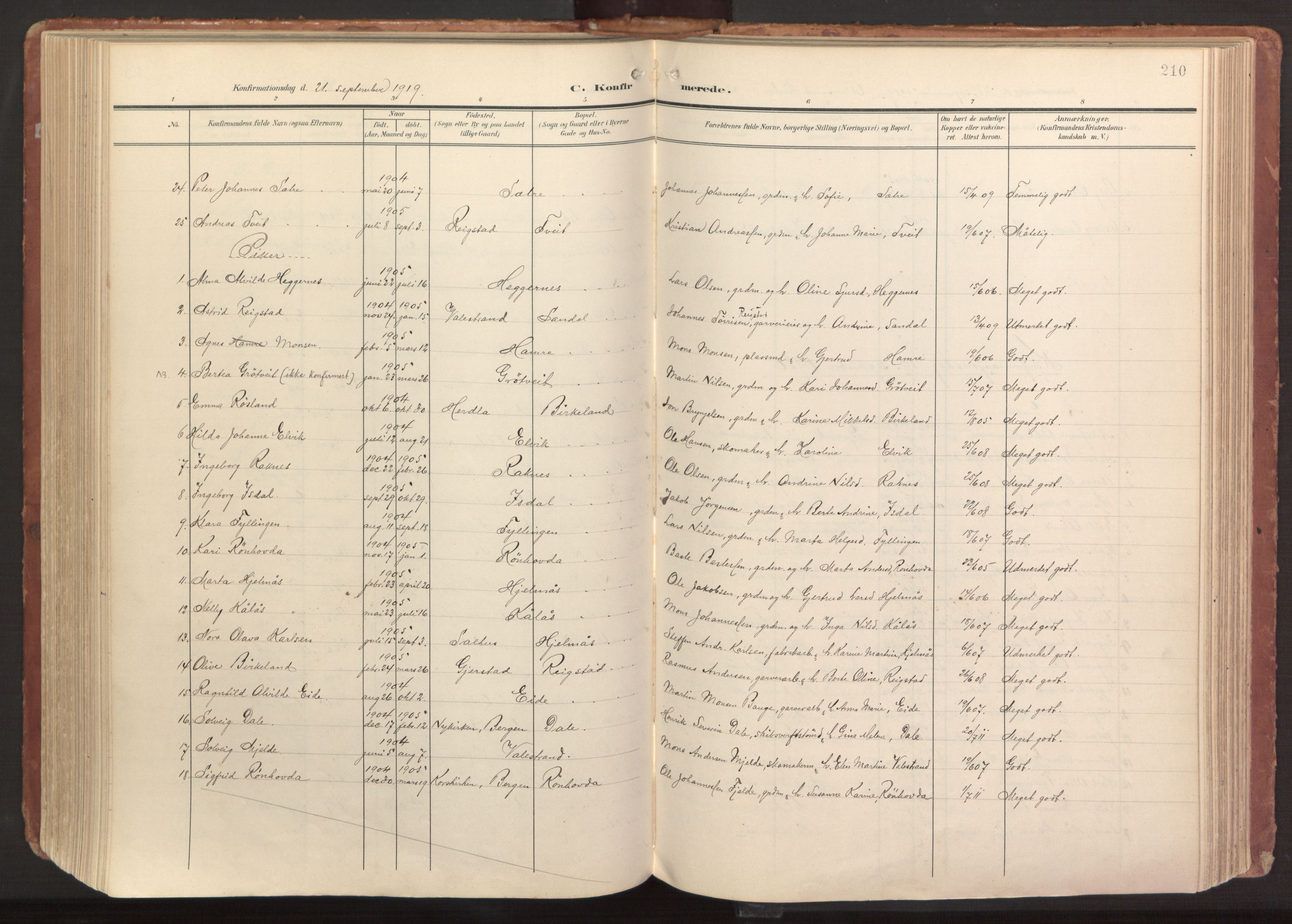 Hamre sokneprestembete, AV/SAB-A-75501/H/Ha/Haa/Haab/L0002: Parish register (official) no. B 2, 1905-1924, p. 210