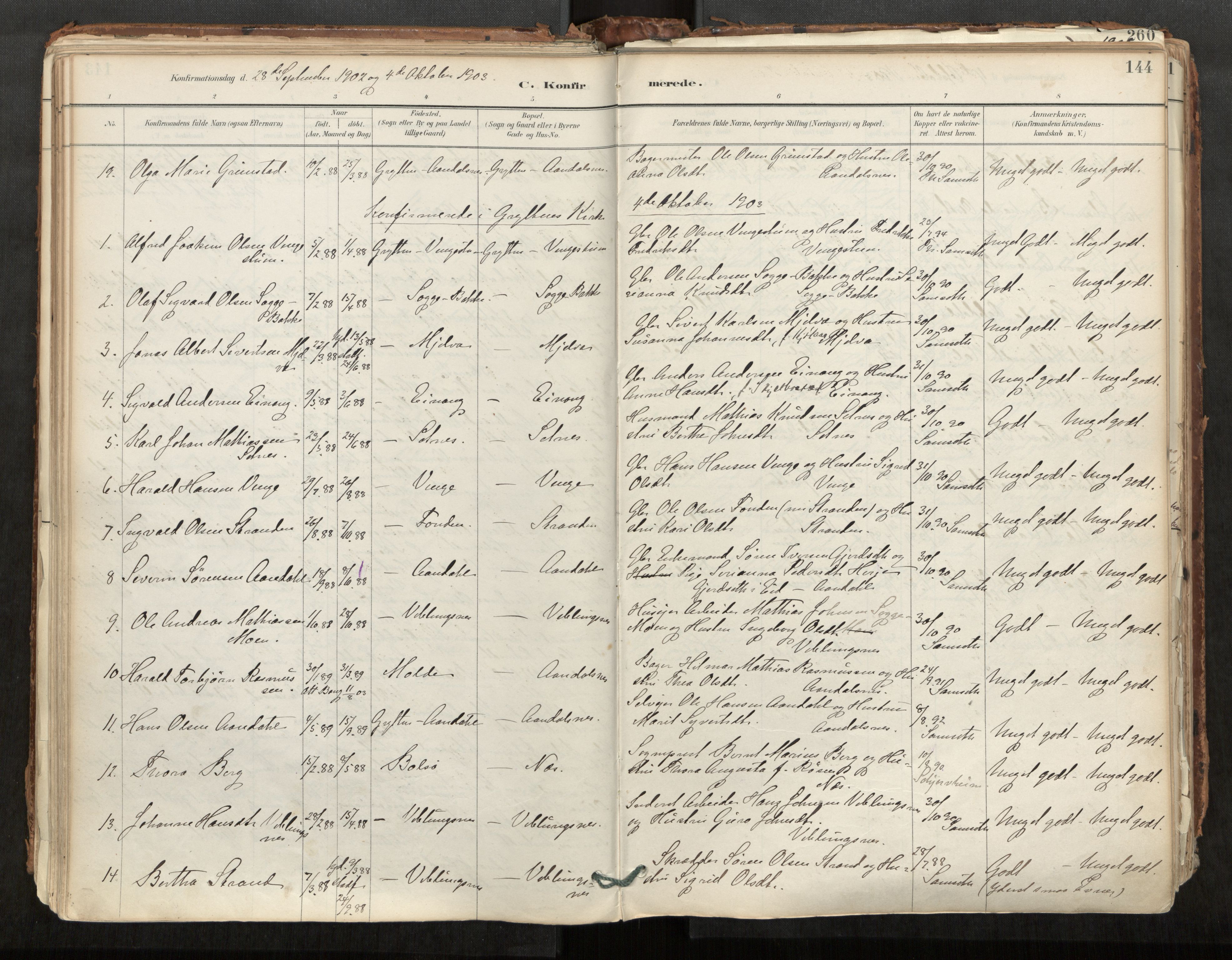 Ministerialprotokoller, klokkerbøker og fødselsregistre - Møre og Romsdal, AV/SAT-A-1454/544/L0585: Parish register (official) no. 544A06, 1887-1924, p. 144