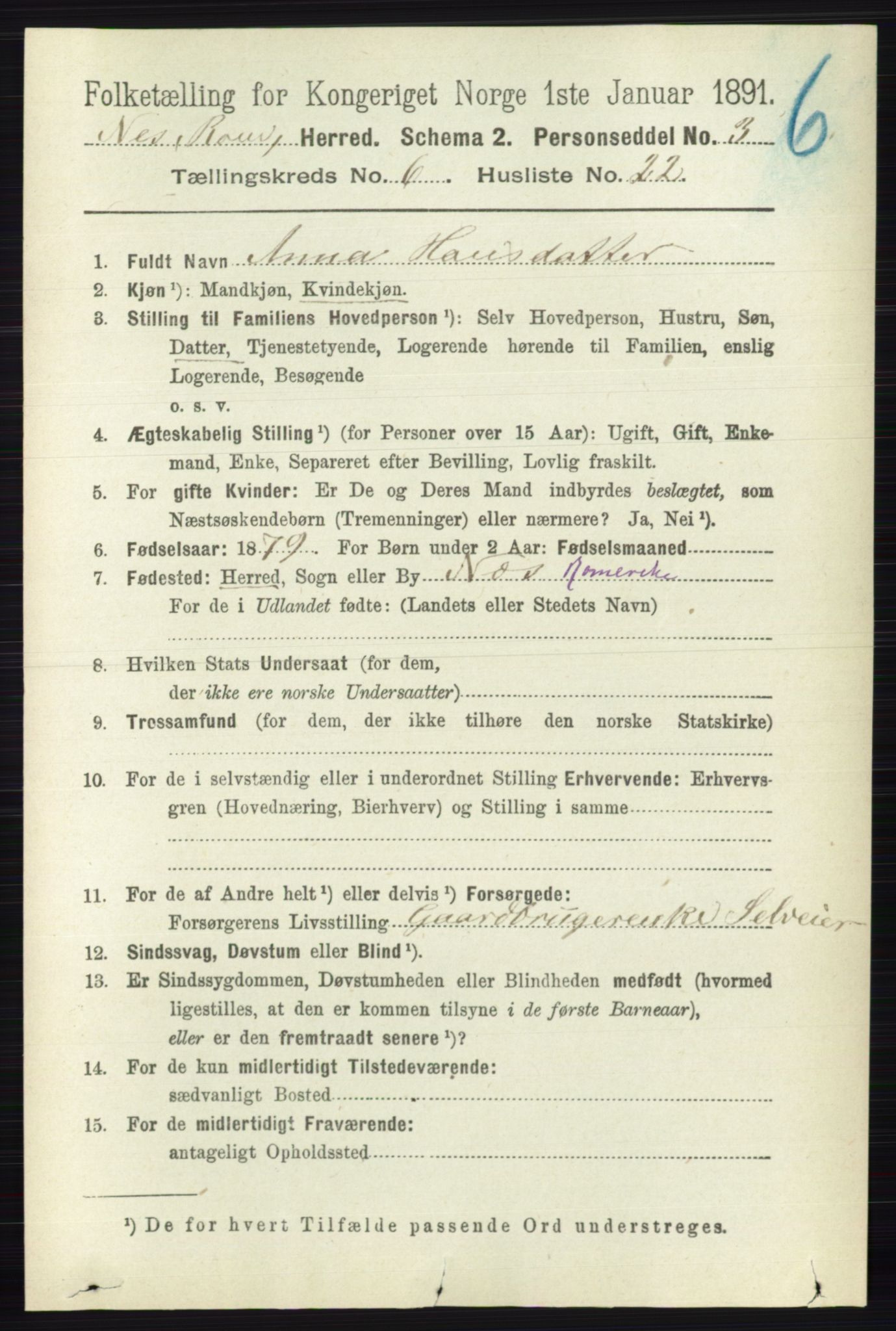 RA, 1891 census for 0236 Nes, 1891, p. 3507