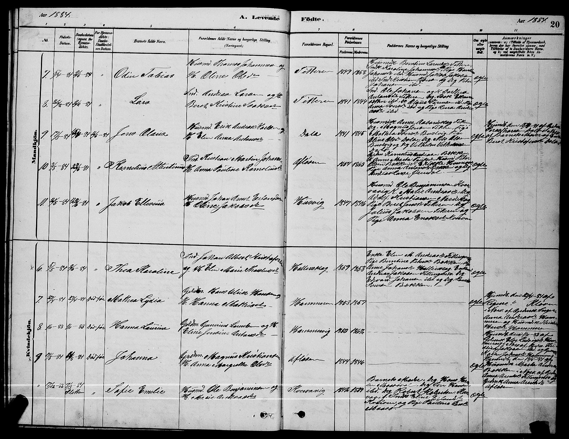 Ministerialprotokoller, klokkerbøker og fødselsregistre - Sør-Trøndelag, SAT/A-1456/641/L0597: Parish register (copy) no. 641C01, 1878-1893, p. 20