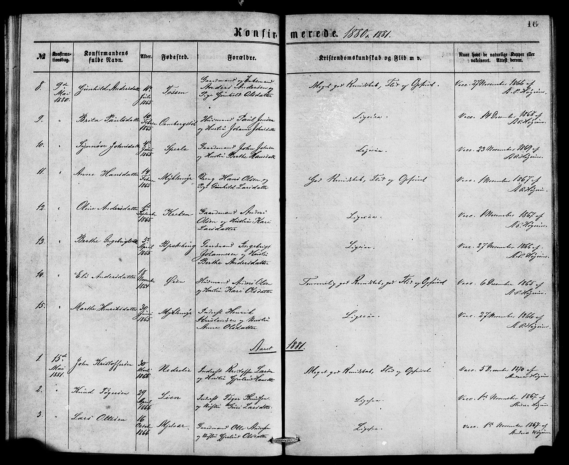 Jostedal sokneprestembete, AV/SAB-A-80601/H/Haa/Haaa/L0007: Parish register (official) no. A 7, 1874-1886, p. 16