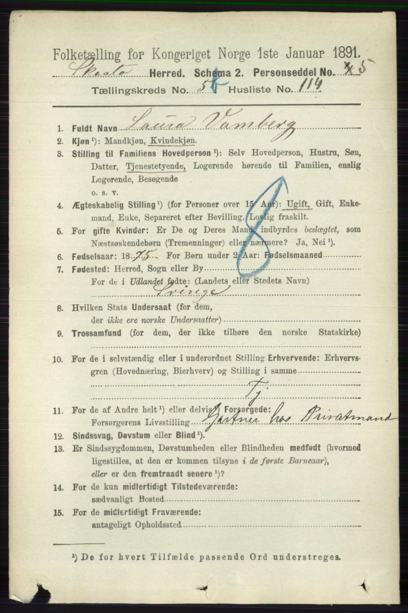 RA, 1891 census for 0815 Skåtøy, 1891, p. 2633