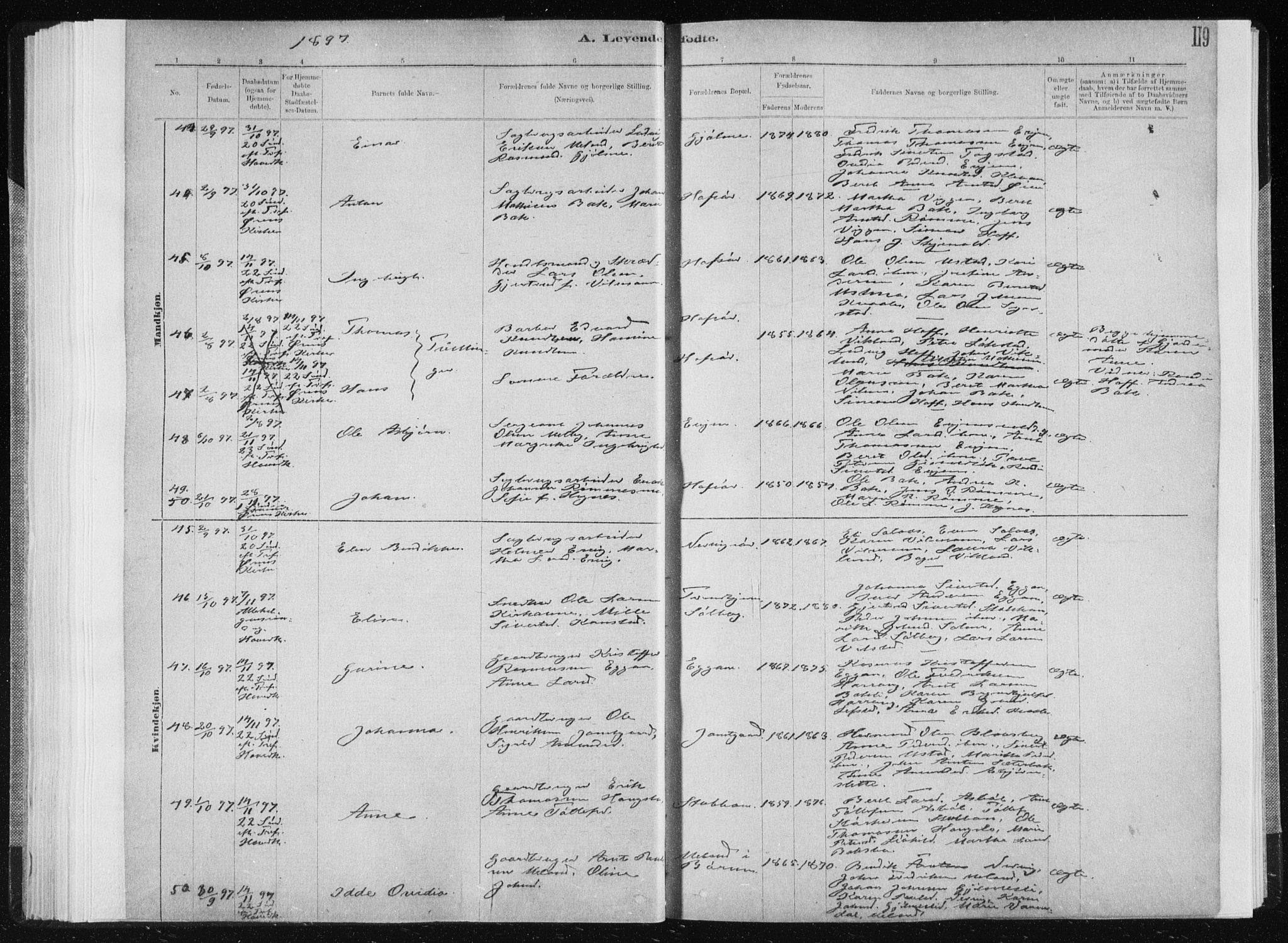 Ministerialprotokoller, klokkerbøker og fødselsregistre - Sør-Trøndelag, SAT/A-1456/668/L0818: Parish register (copy) no. 668C07, 1885-1898, p. 119