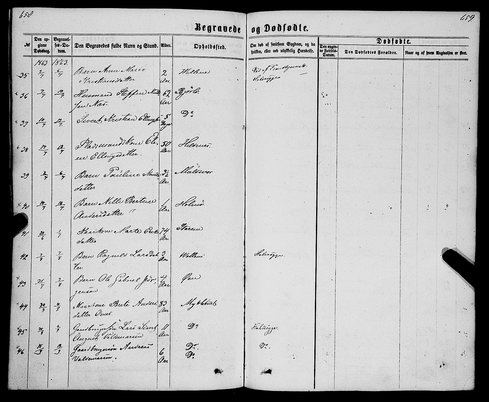 Eid sokneprestembete, AV/SAB-A-82301/H/Haa/Haaa/L0009: Parish register (official) no. A 9, 1861-1868, p. 658-659