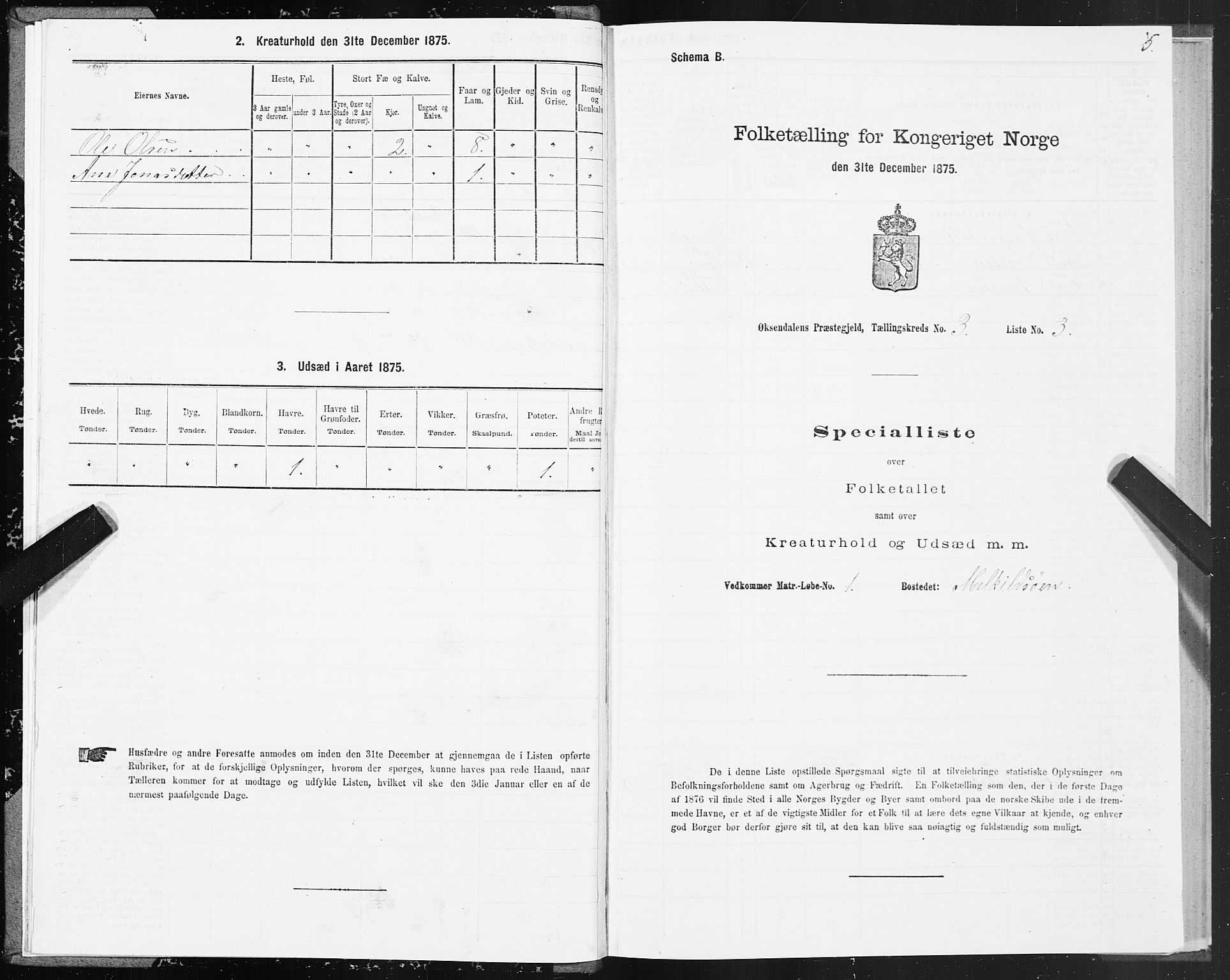 SAT, 1875 census for 1561P Øksendal, 1875, p. 2005