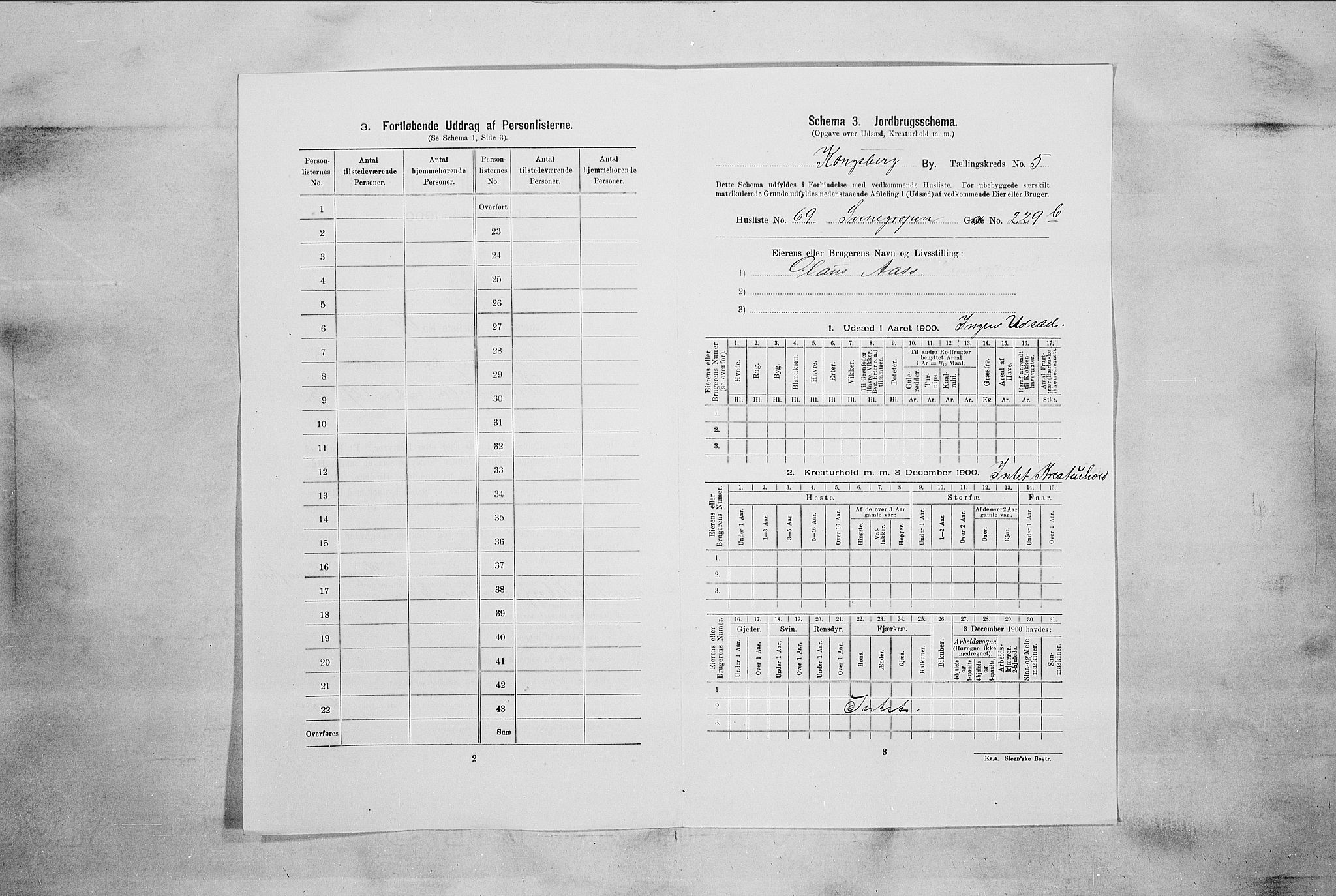 RA, 1900 census for Kongsberg, 1900, p. 1028