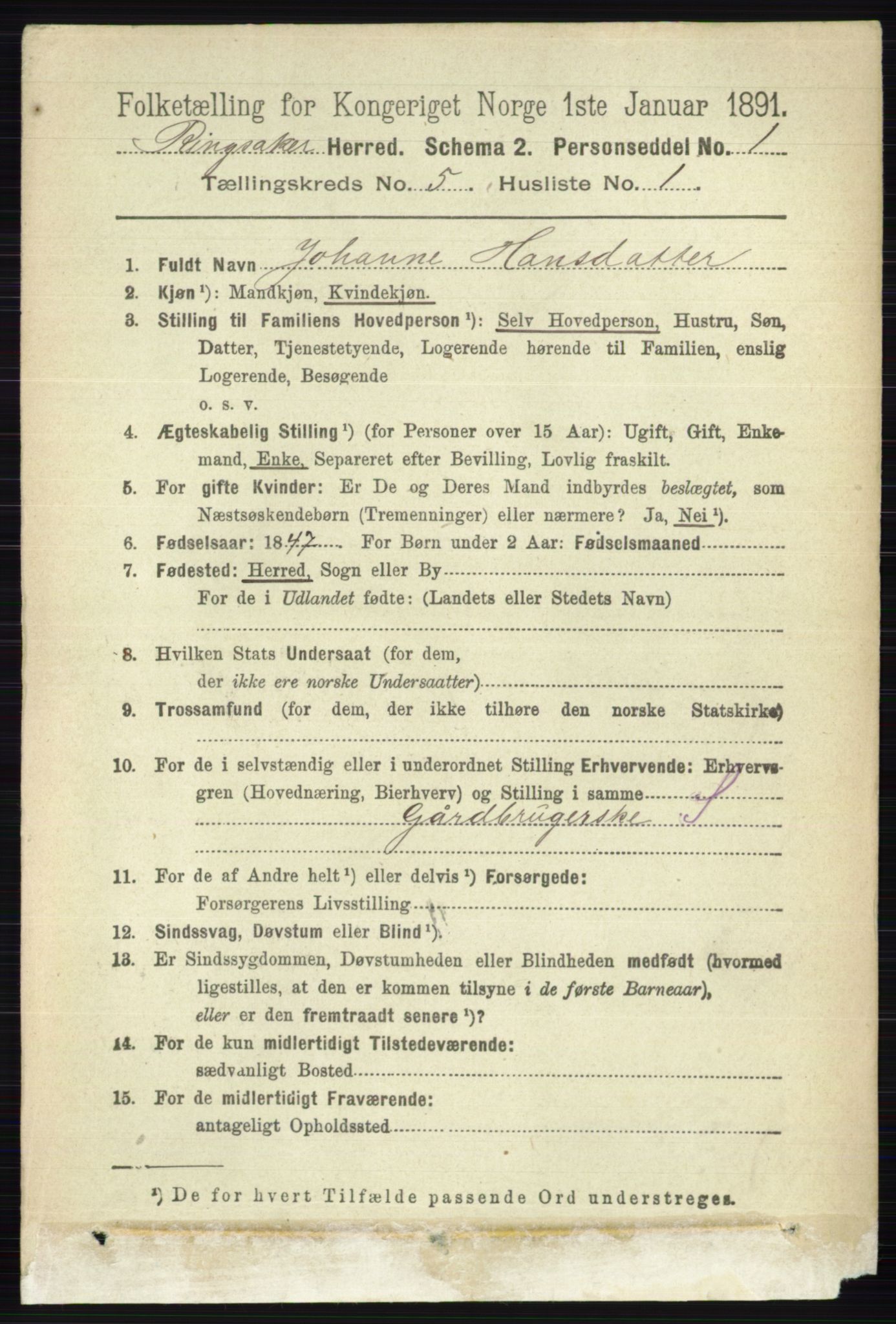 RA, 1891 census for 0412 Ringsaker, 1891, p. 2419