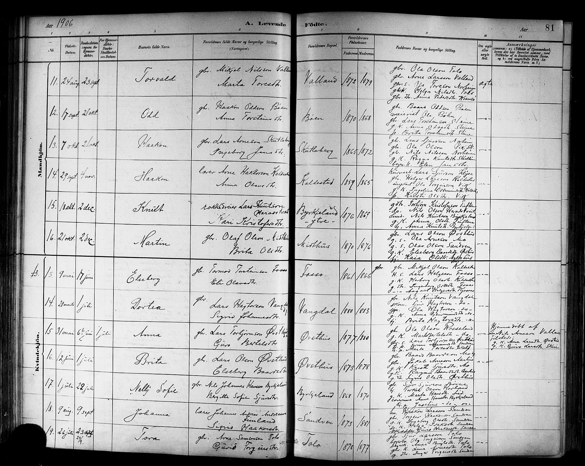 Kvam sokneprestembete, SAB/A-76201/H/Hab: Parish register (copy) no. B 3, 1884-1916, p. 81