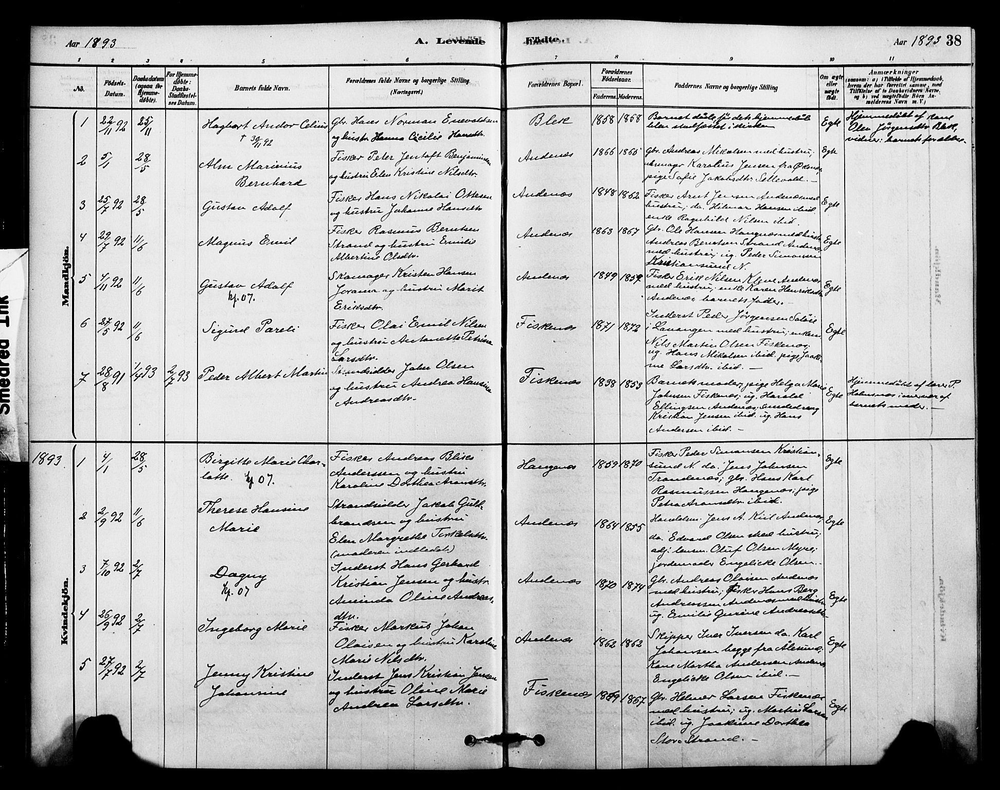 Ministerialprotokoller, klokkerbøker og fødselsregistre - Nordland, SAT/A-1459/899/L1436: Parish register (official) no. 899A04, 1881-1896, p. 38
