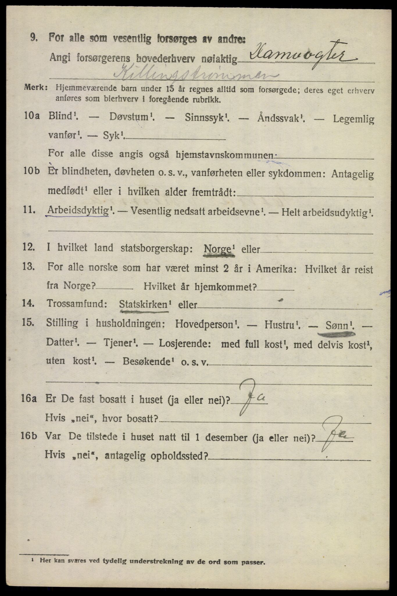 SAKO, 1920 census for Ådal, 1920, p. 4723