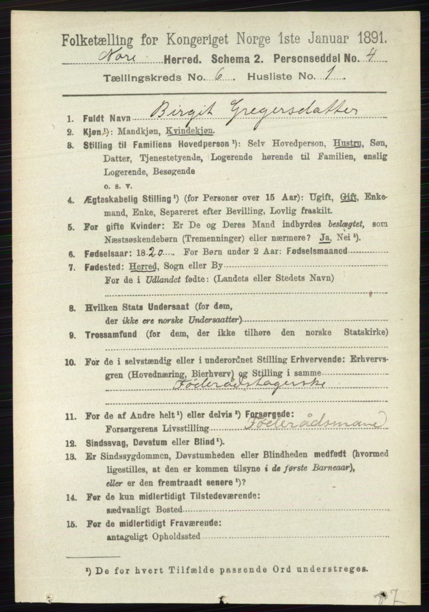 RA, 1891 census for 0633 Nore, 1891, p. 1968