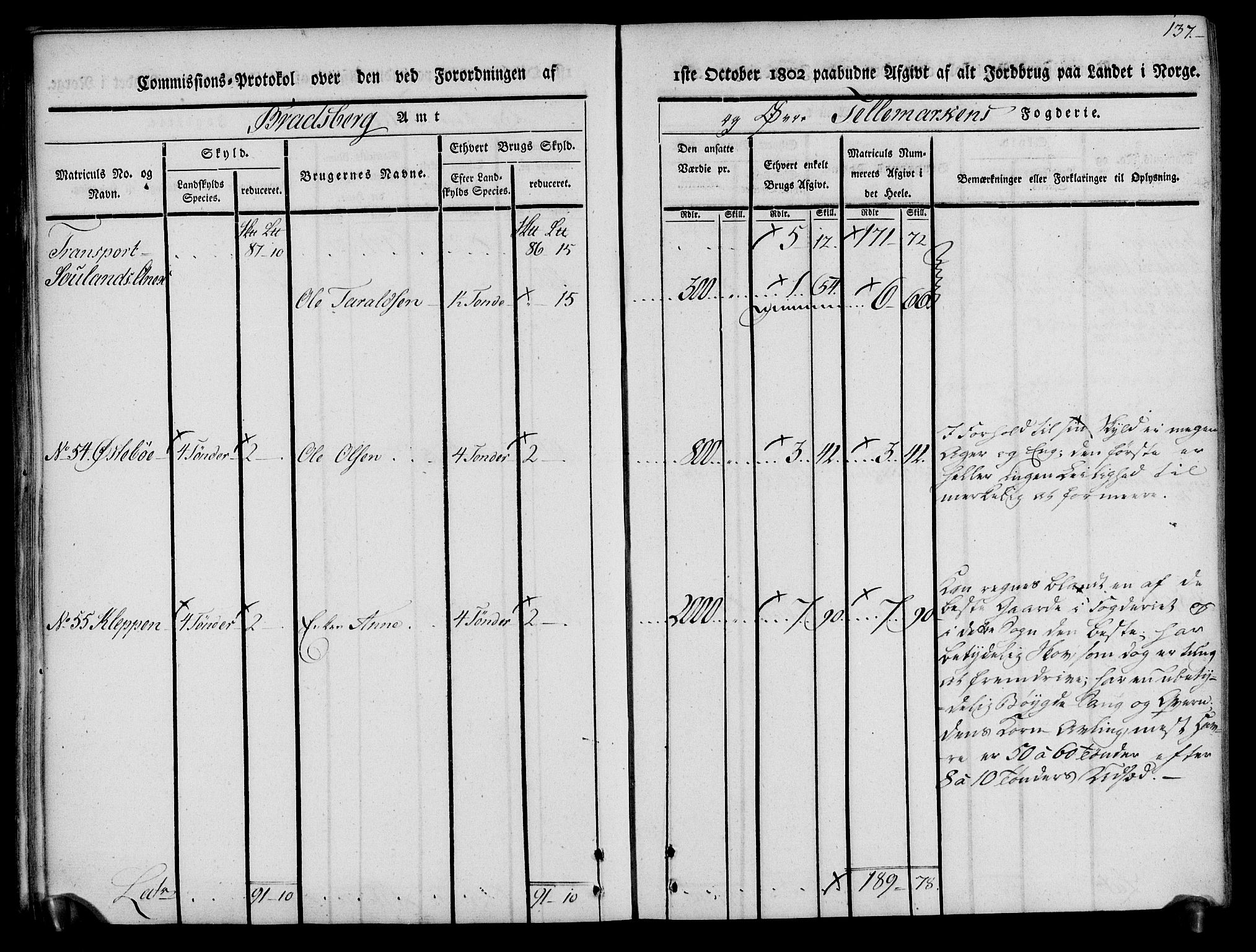 Rentekammeret inntil 1814, Realistisk ordnet avdeling, AV/RA-EA-4070/N/Ne/Nea/L0074: Øvre Telemarken fogderi. Kommisjonsprotokoll for fogderiets østre del - Tinn, Hjartdal og Seljord prestegjeld., 1803, p. 137