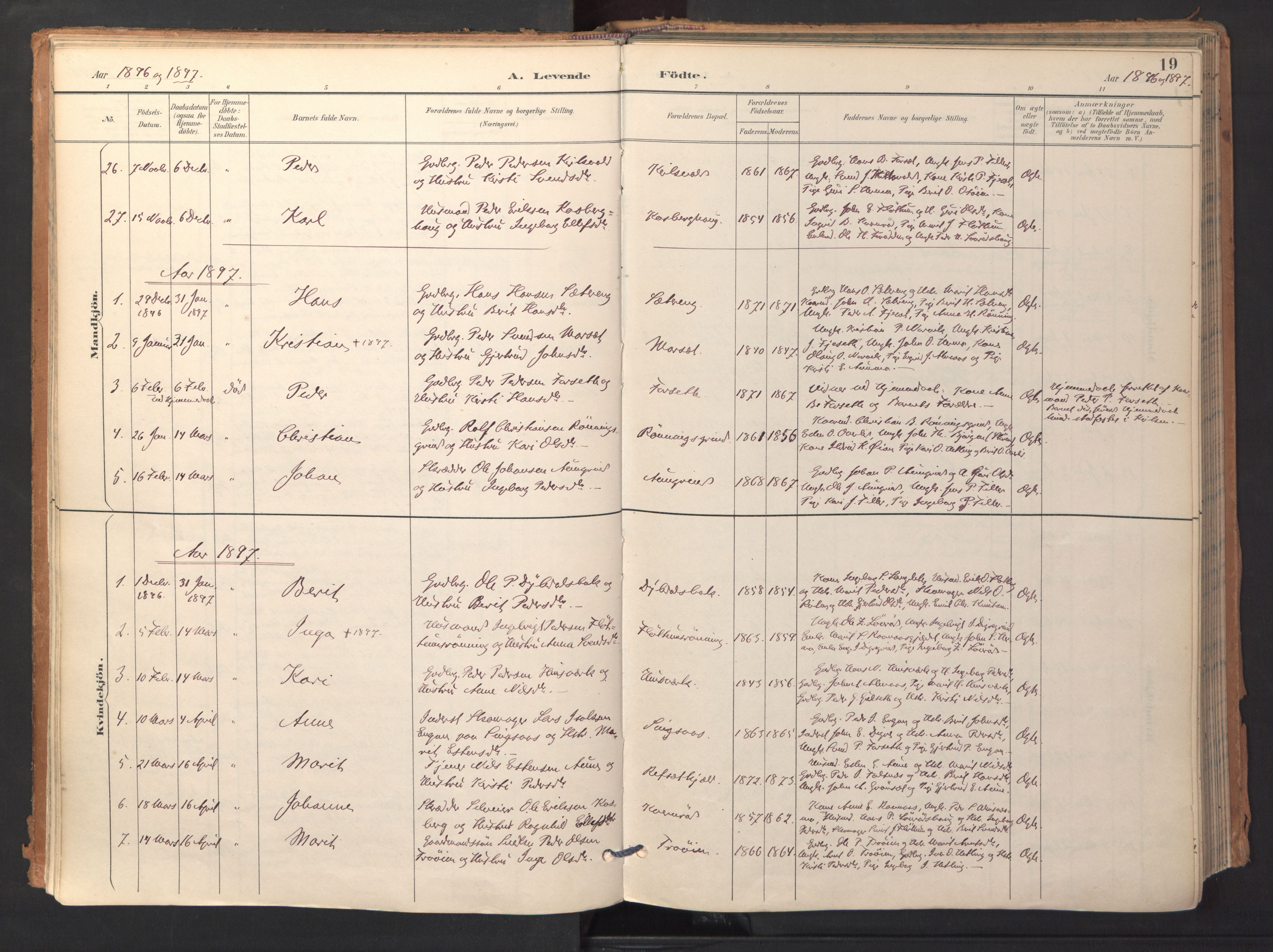 Ministerialprotokoller, klokkerbøker og fødselsregistre - Sør-Trøndelag, SAT/A-1456/688/L1025: Parish register (official) no. 688A02, 1891-1909, p. 19