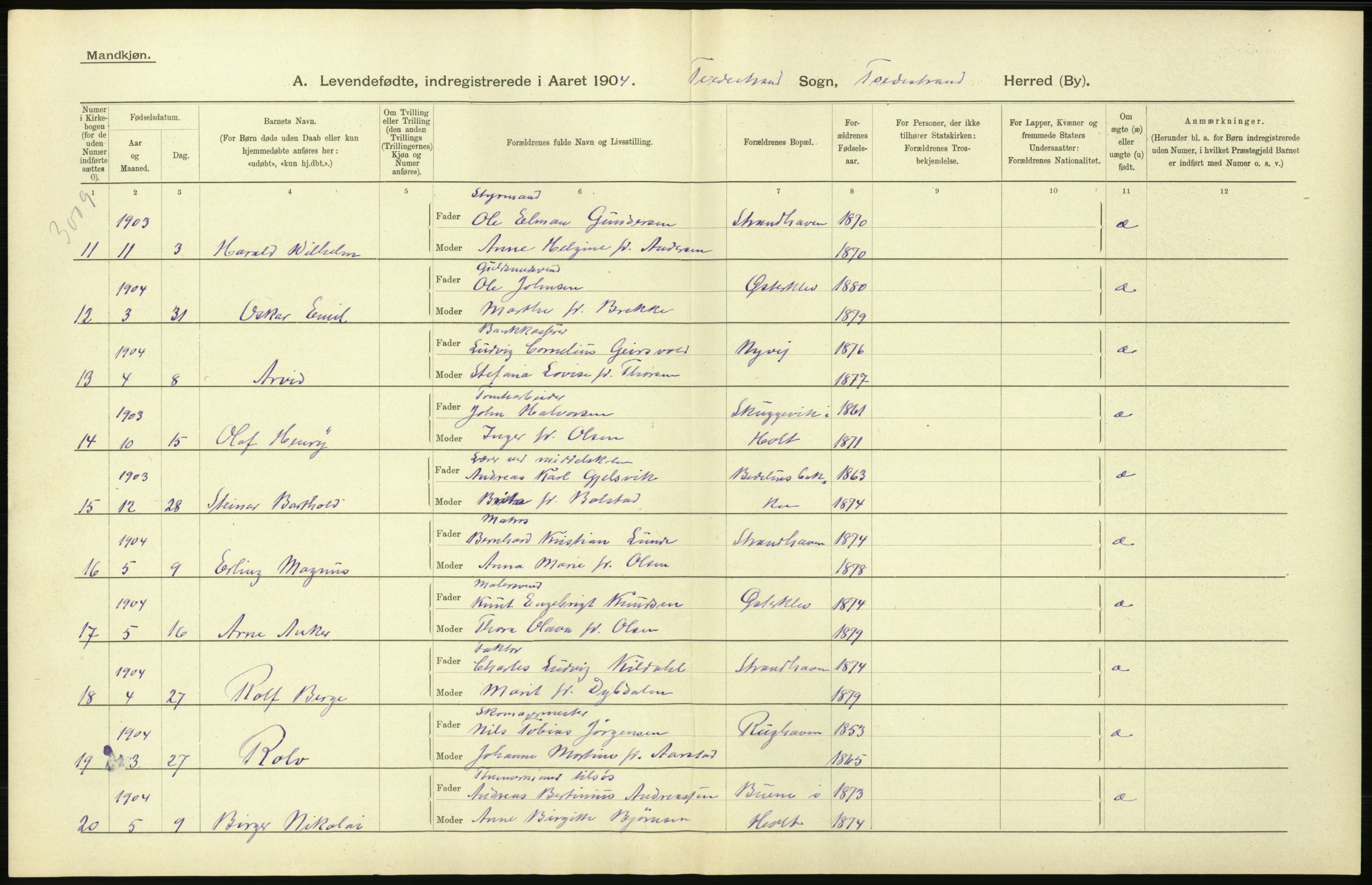 Statistisk sentralbyrå, Sosiodemografiske emner, Befolkning, AV/RA-S-2228/D/Df/Dfa/Dfab/L0010: Nedenes amt: Fødte, gifte, døde, 1904, p. 316