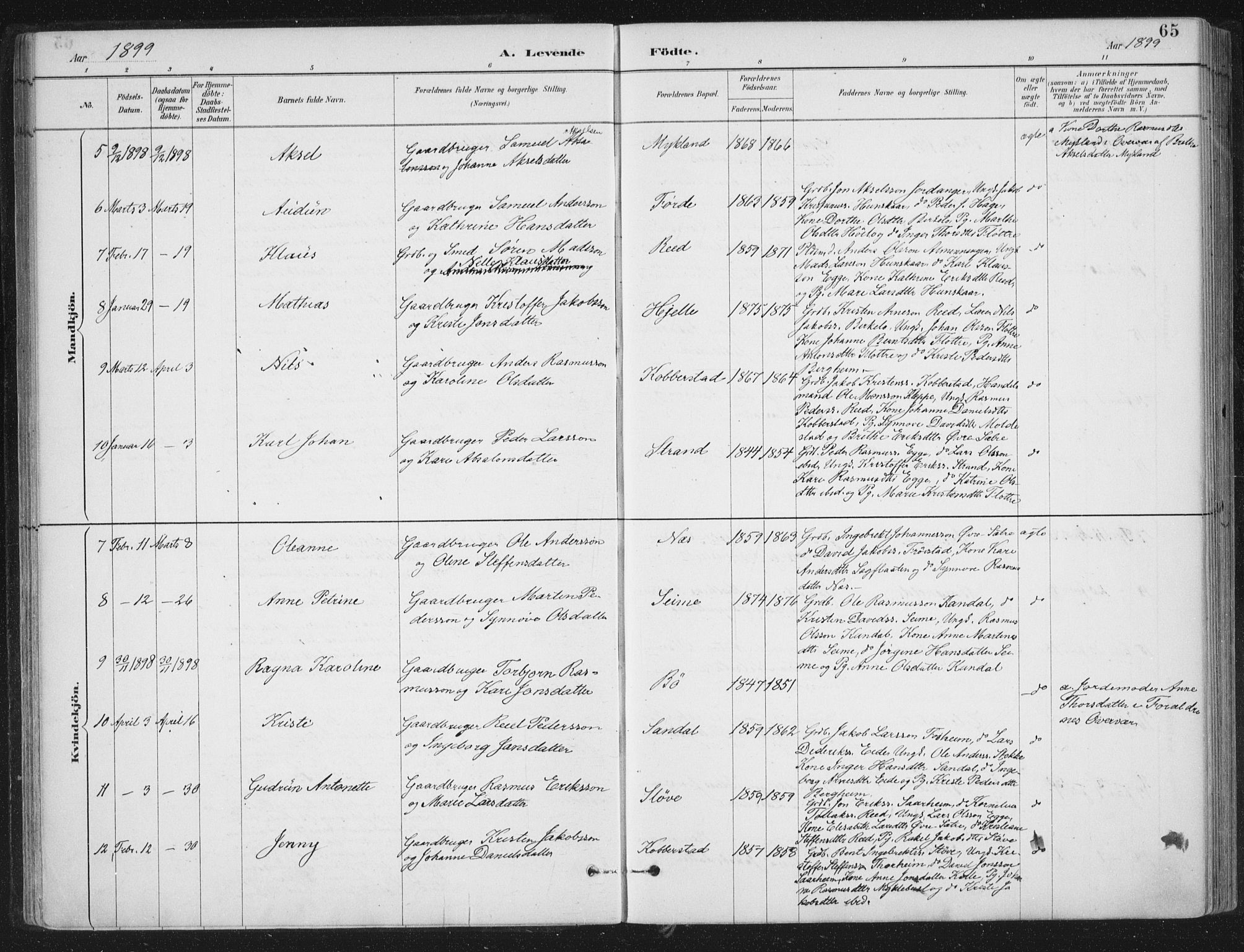 Gloppen sokneprestembete, AV/SAB-A-80101/H/Haa/Haac/L0002: Parish register (official) no. C  2, 1887-1904, p. 65