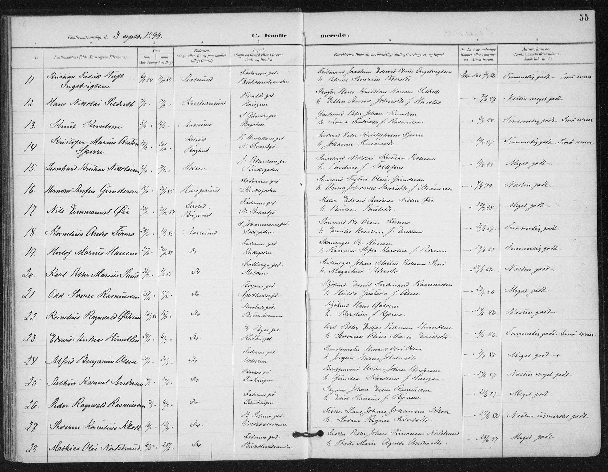 Ministerialprotokoller, klokkerbøker og fødselsregistre - Møre og Romsdal, AV/SAT-A-1454/529/L0457: Parish register (official) no. 529A07, 1894-1903, p. 55