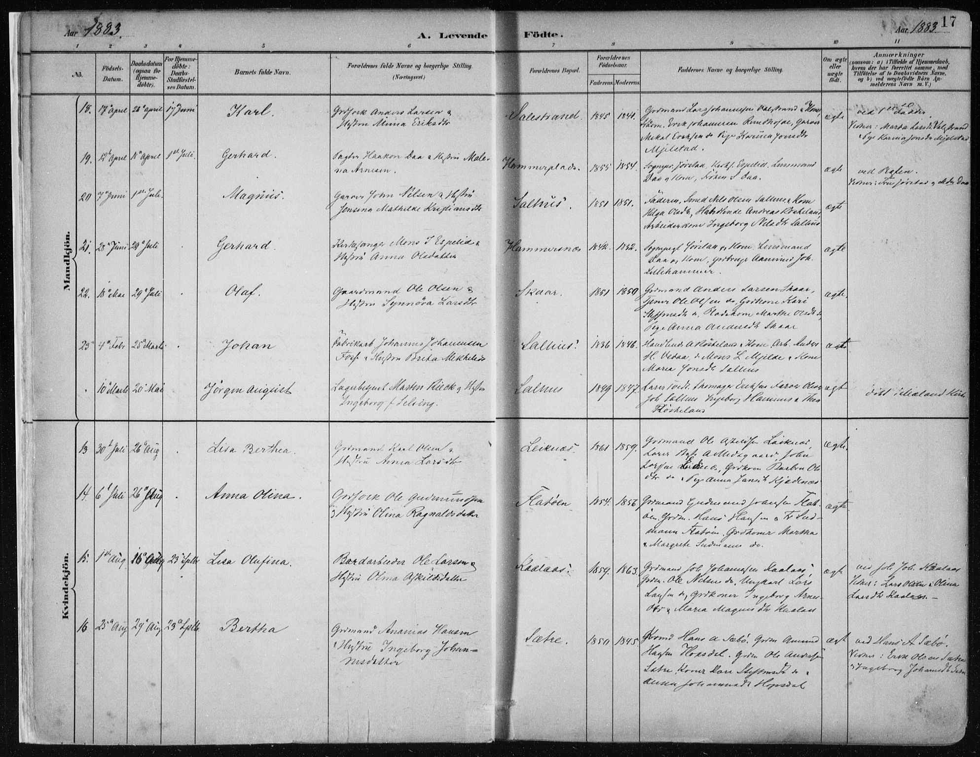 Hamre sokneprestembete, AV/SAB-A-75501/H/Ha/Haa/Haab/L0001: Parish register (official) no. B  1, 1882-1905, p. 17