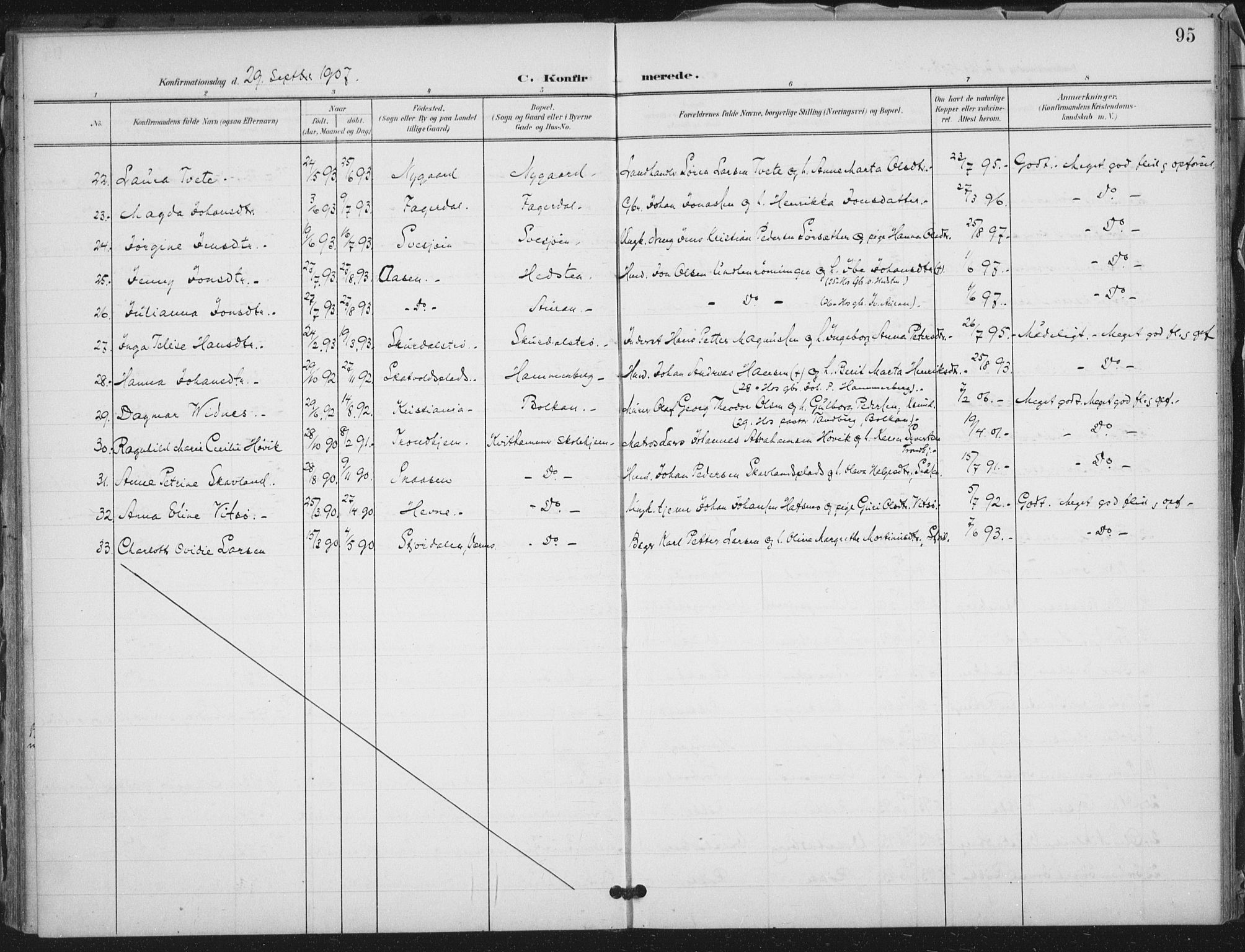 Ministerialprotokoller, klokkerbøker og fødselsregistre - Nord-Trøndelag, AV/SAT-A-1458/712/L0101: Parish register (official) no. 712A02, 1901-1916, p. 95