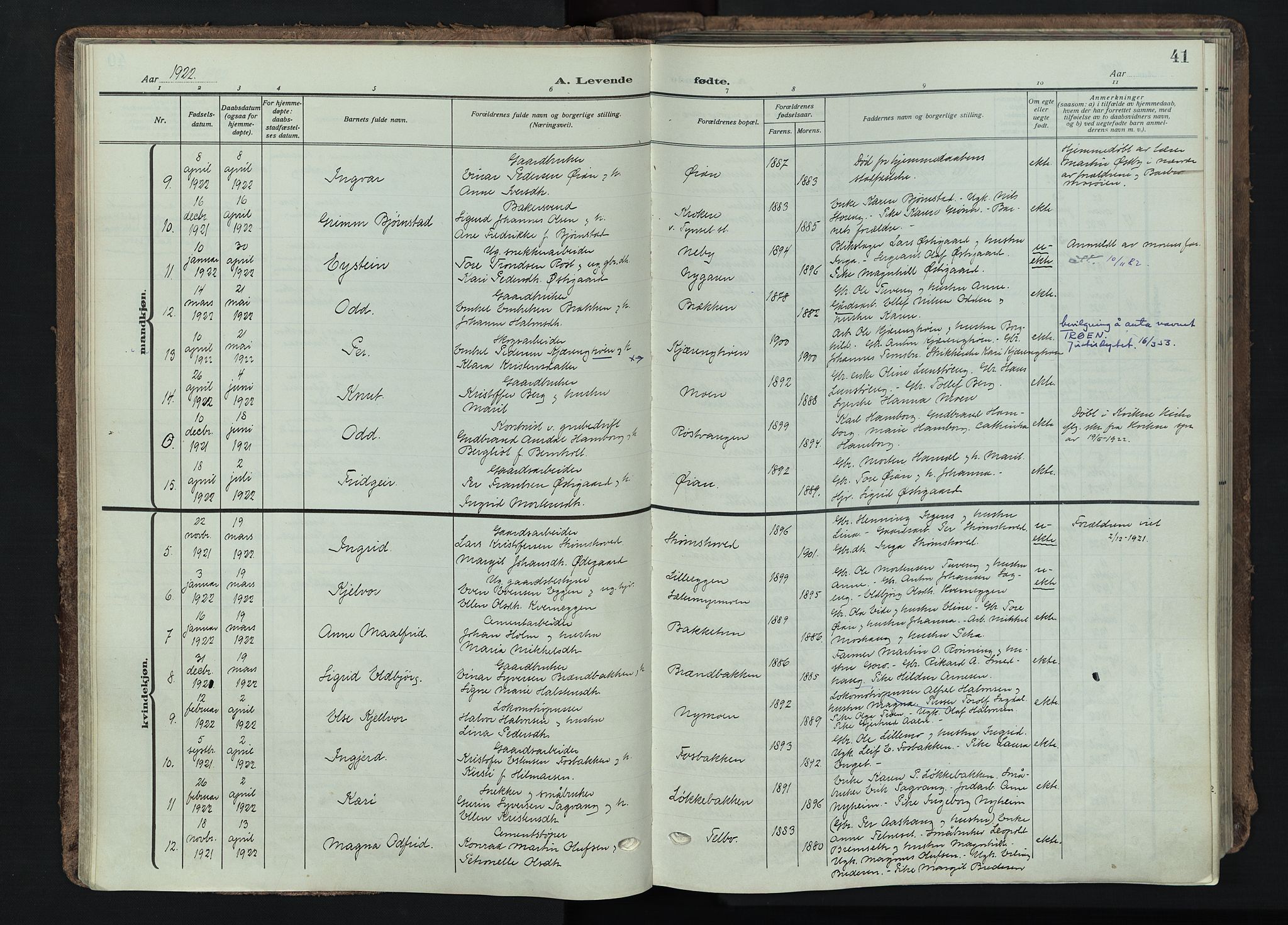 Tynset prestekontor, SAH/PREST-058/H/Ha/Haa/L0026: Parish register (official) no. 26, 1915-1929, p. 41