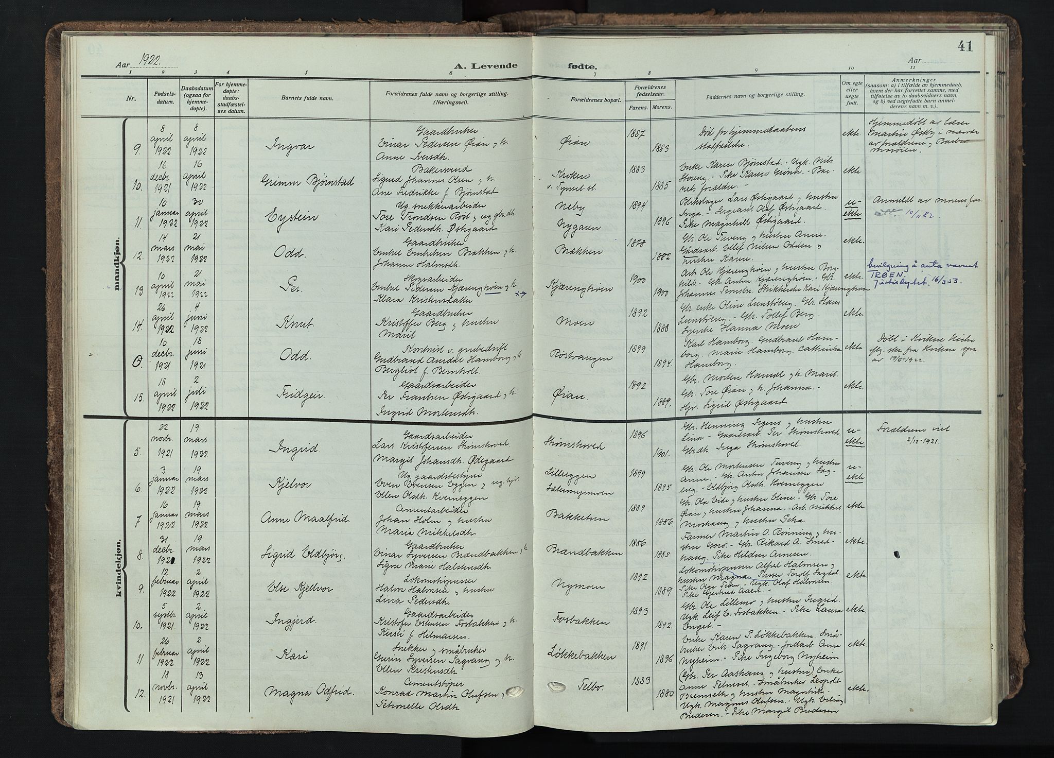 Tynset prestekontor, AV/SAH-PREST-058/H/Ha/Haa/L0026: Parish register (official) no. 26, 1915-1929, p. 41