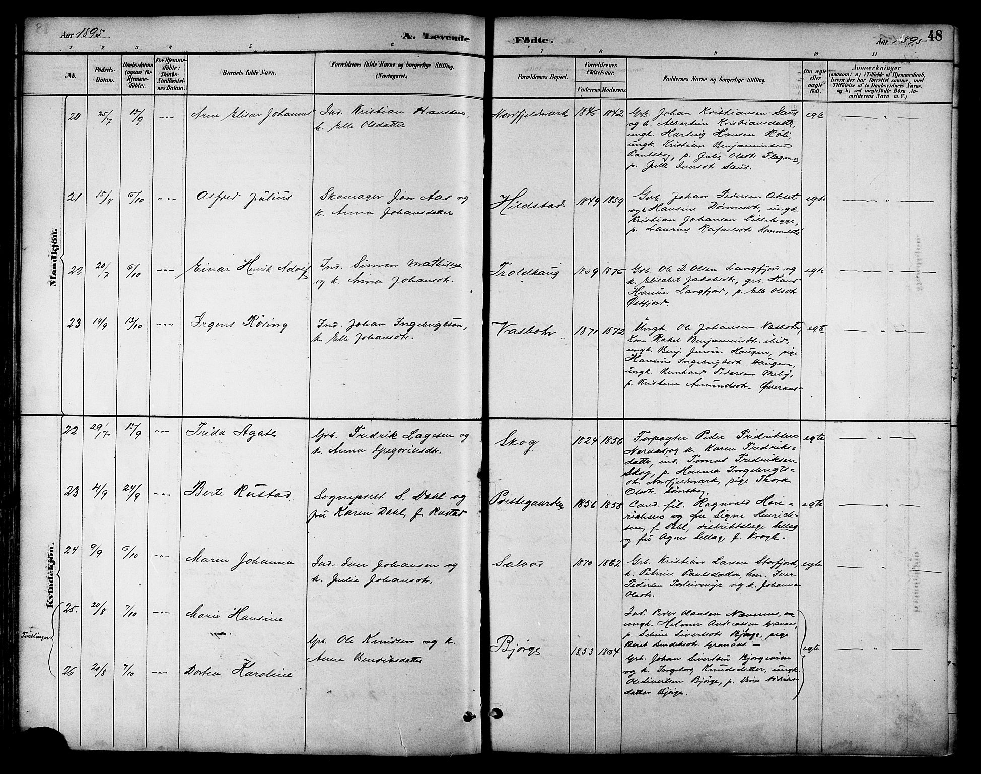 Ministerialprotokoller, klokkerbøker og fødselsregistre - Nordland, AV/SAT-A-1459/814/L0230: Parish register (copy) no. 814C03, 1884-1911, p. 48