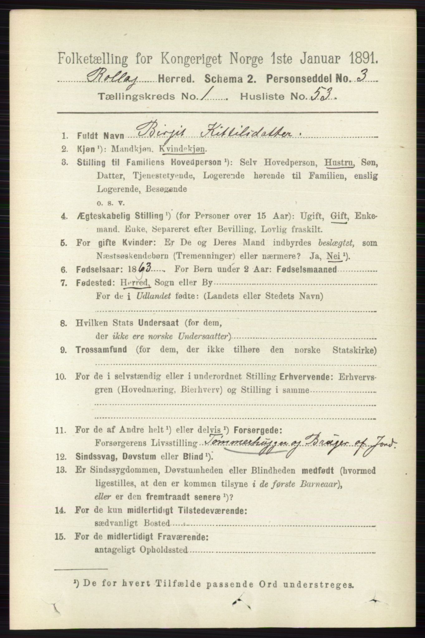 RA, 1891 census for 0632 Rollag, 1891, p. 411