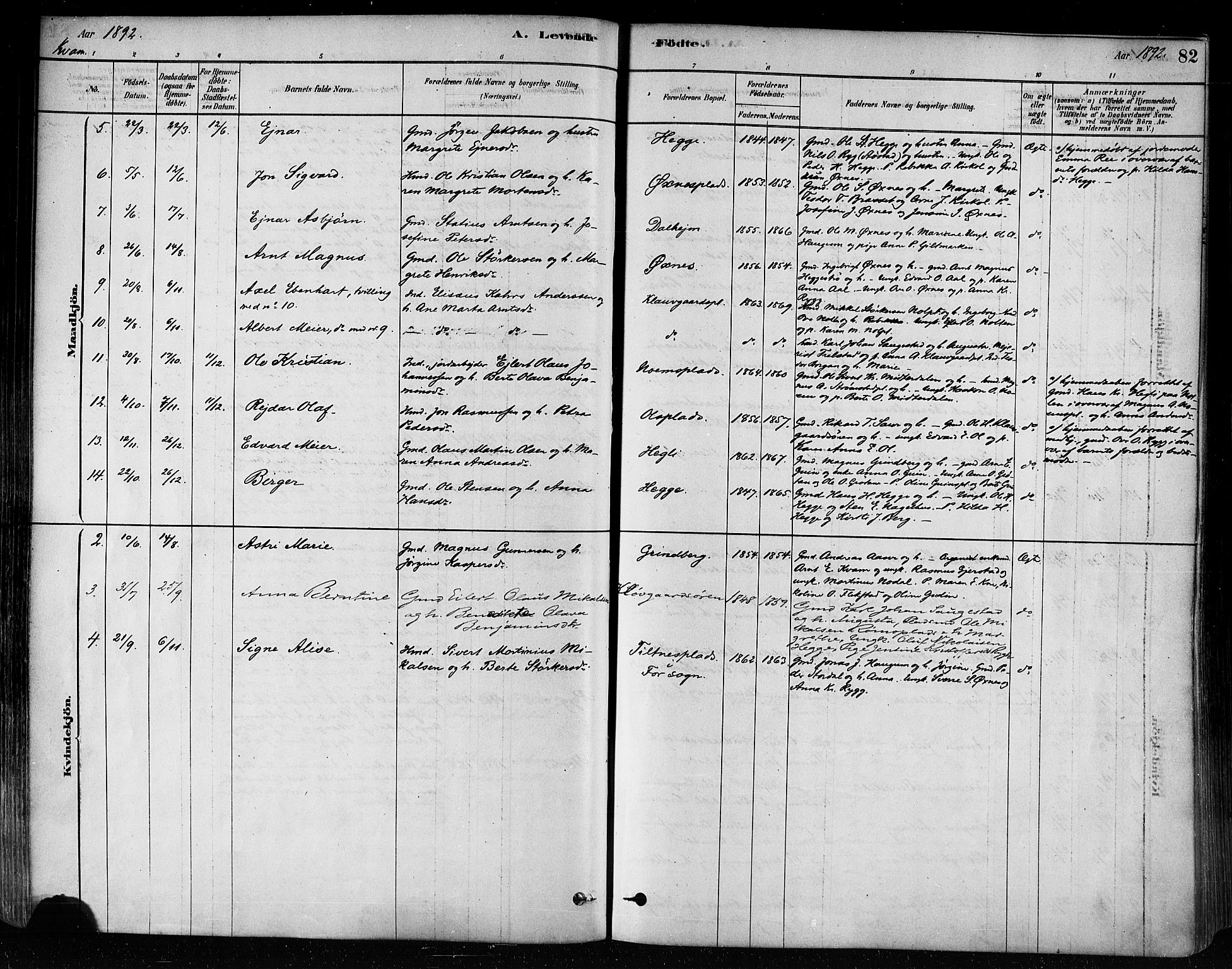 Ministerialprotokoller, klokkerbøker og fødselsregistre - Nord-Trøndelag, SAT/A-1458/746/L0449: Parish register (official) no. 746A07 /2, 1878-1899, p. 82