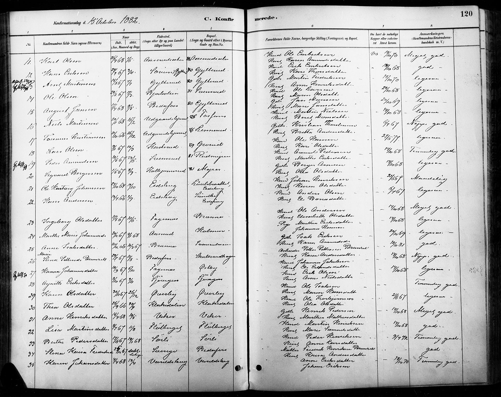 Vinger prestekontor, AV/SAH-PREST-024/H/Ha/Haa/L0015: Parish register (official) no. 15, 1881-1900, p. 120