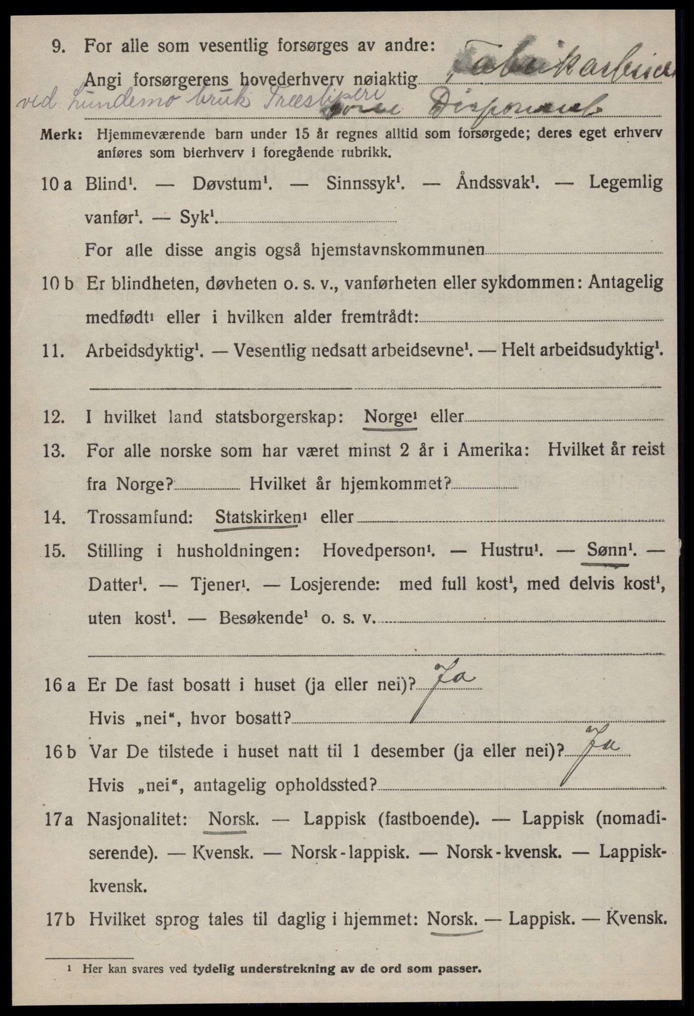 SAT, 1920 census for Horg, 1920, p. 1639