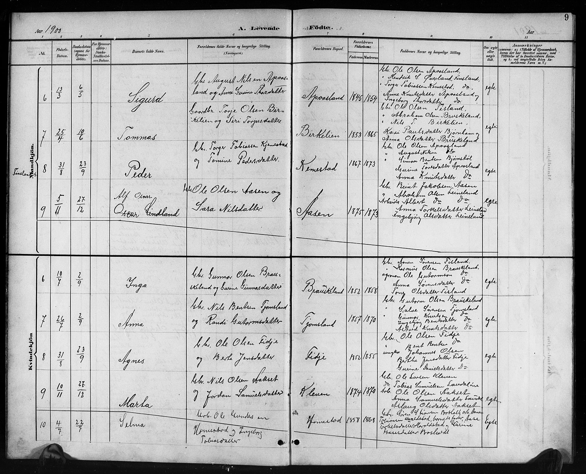 Holum sokneprestkontor, AV/SAK-1111-0022/F/Fb/Fbb/L0004: Parish register (copy) no. B 4, 1899-1920, p. 9