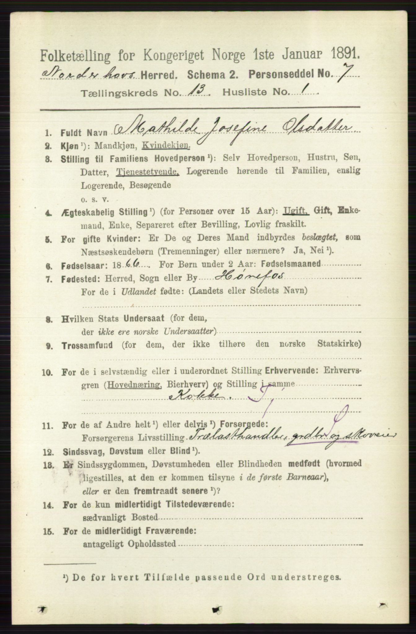 RA, 1891 census for 0613 Norderhov, 1891, p. 8886