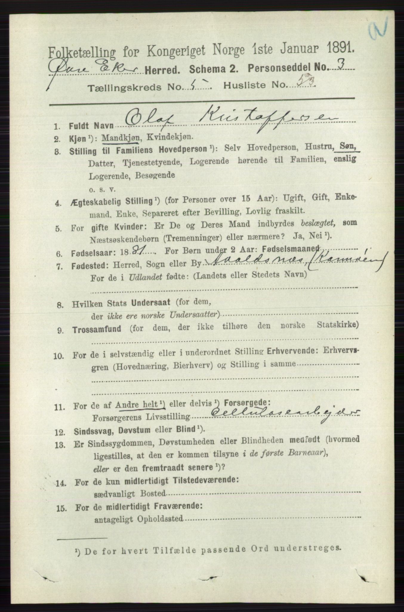 RA, 1891 census for 0624 Øvre Eiker, 1891, p. 2167