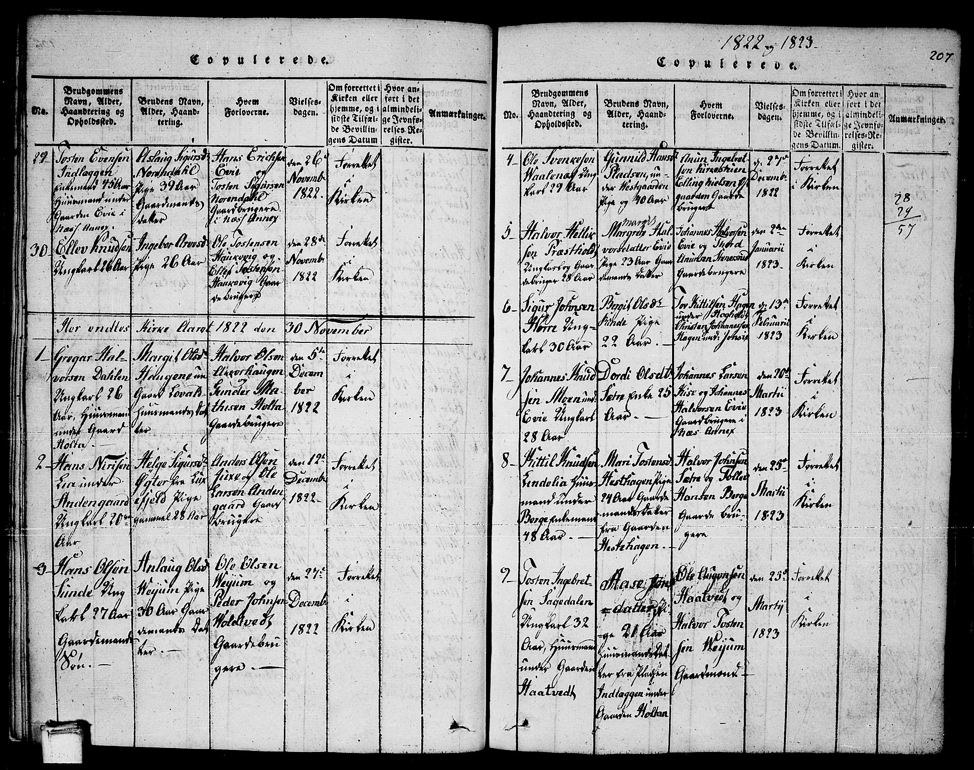 Sauherad kirkebøker, SAKO/A-298/F/Fa/L0005: Parish register (official) no. I 5, 1815-1829, p. 207