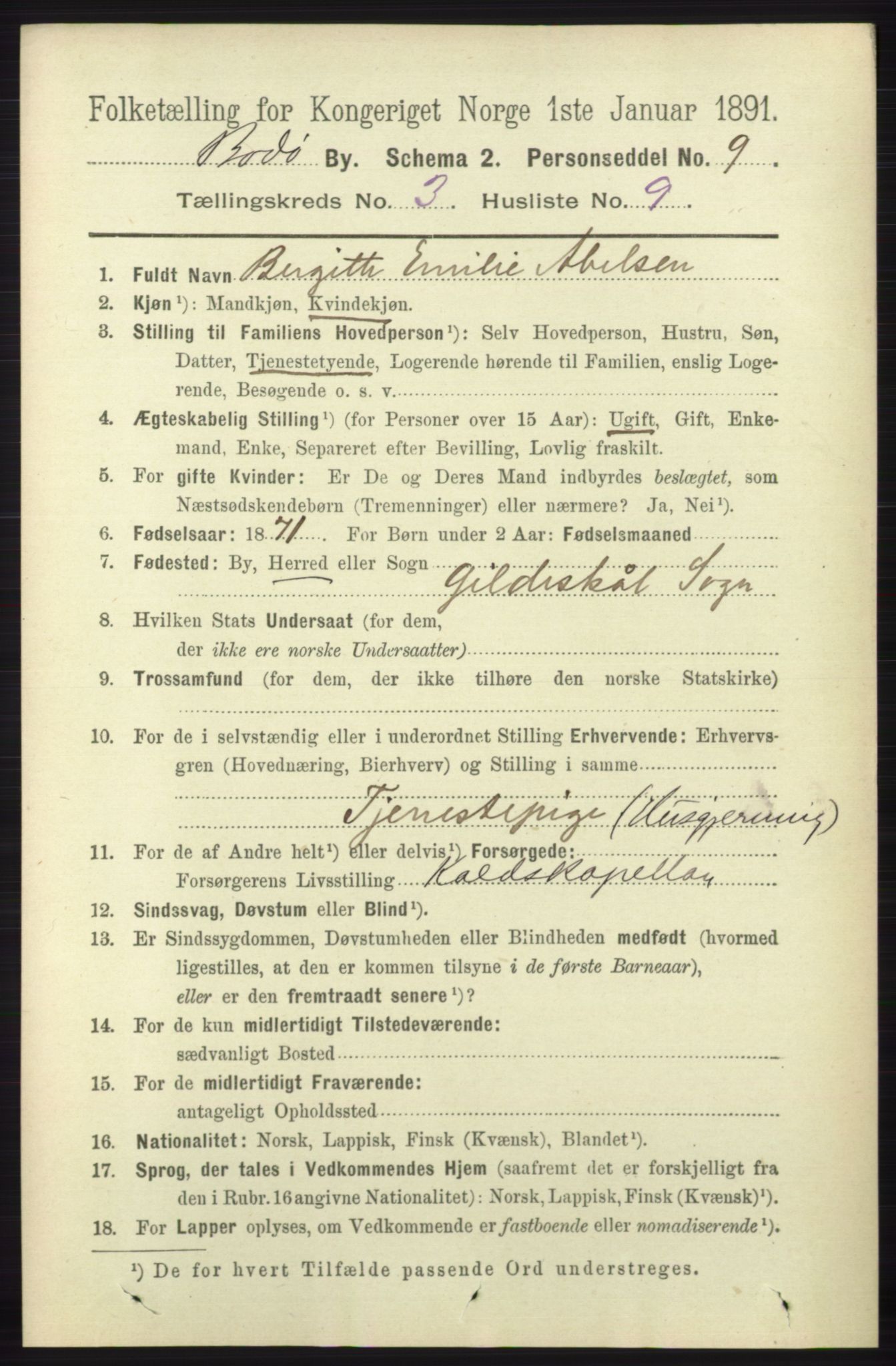 RA, 1891 census for 1804 Bodø, 1891, p. 2127