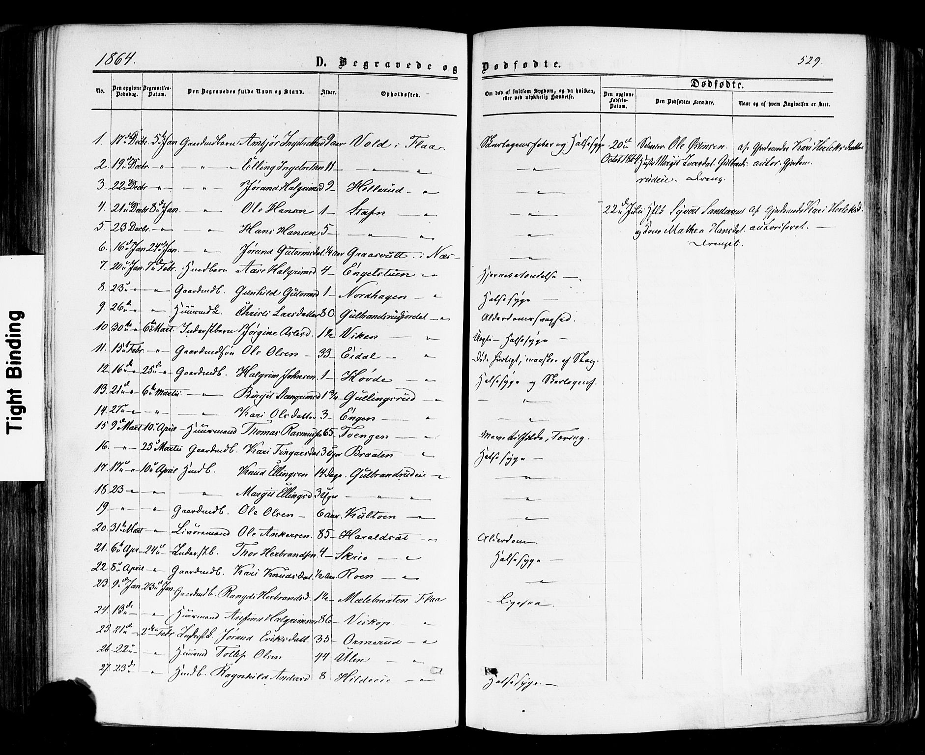 Nes kirkebøker, SAKO/A-236/F/Fa/L0010: Parish register (official) no. 10, 1864-1880, p. 529