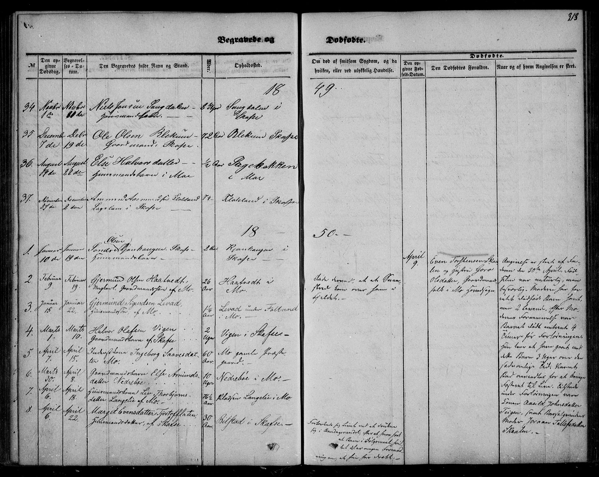 Mo kirkebøker, SAKO/A-286/F/Fa/L0005: Parish register (official) no. I 5, 1844-1864, p. 313