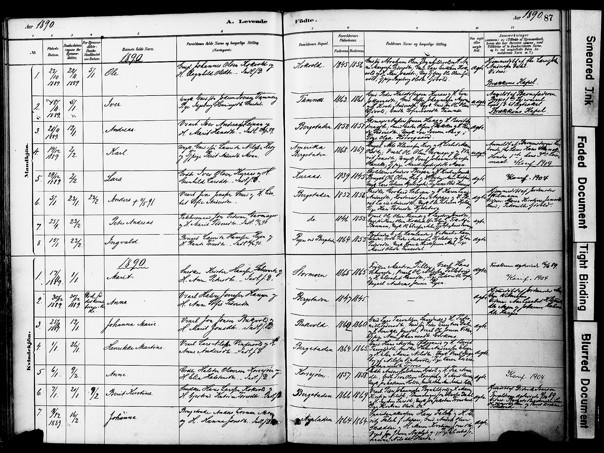 Ministerialprotokoller, klokkerbøker og fødselsregistre - Sør-Trøndelag, SAT/A-1456/681/L0933: Parish register (official) no. 681A11, 1879-1890, p. 87
