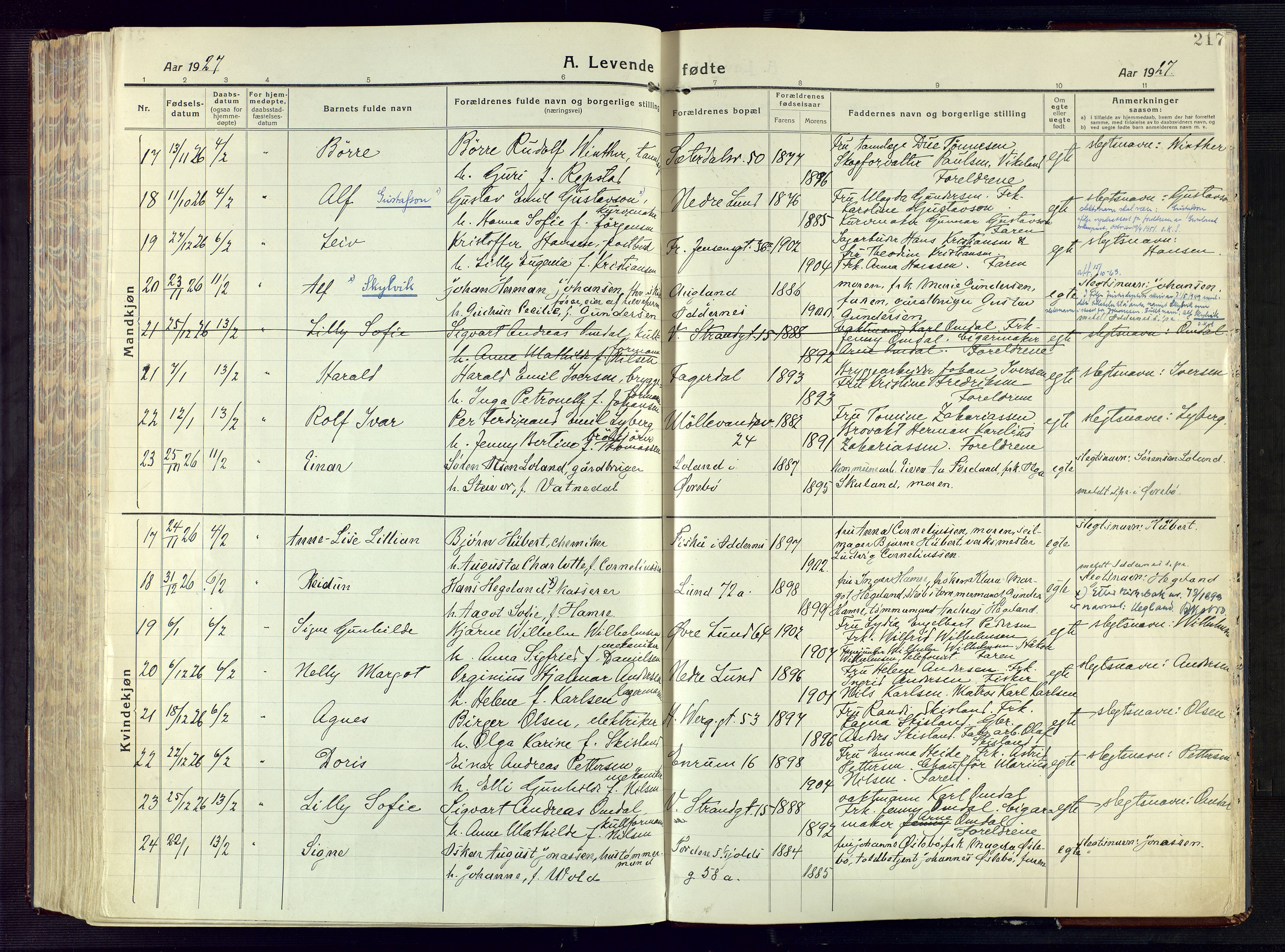 Kristiansand domprosti, SAK/1112-0006/F/Fa/L0024: Parish register (official) no. A 23, 1918-1928, p. 217