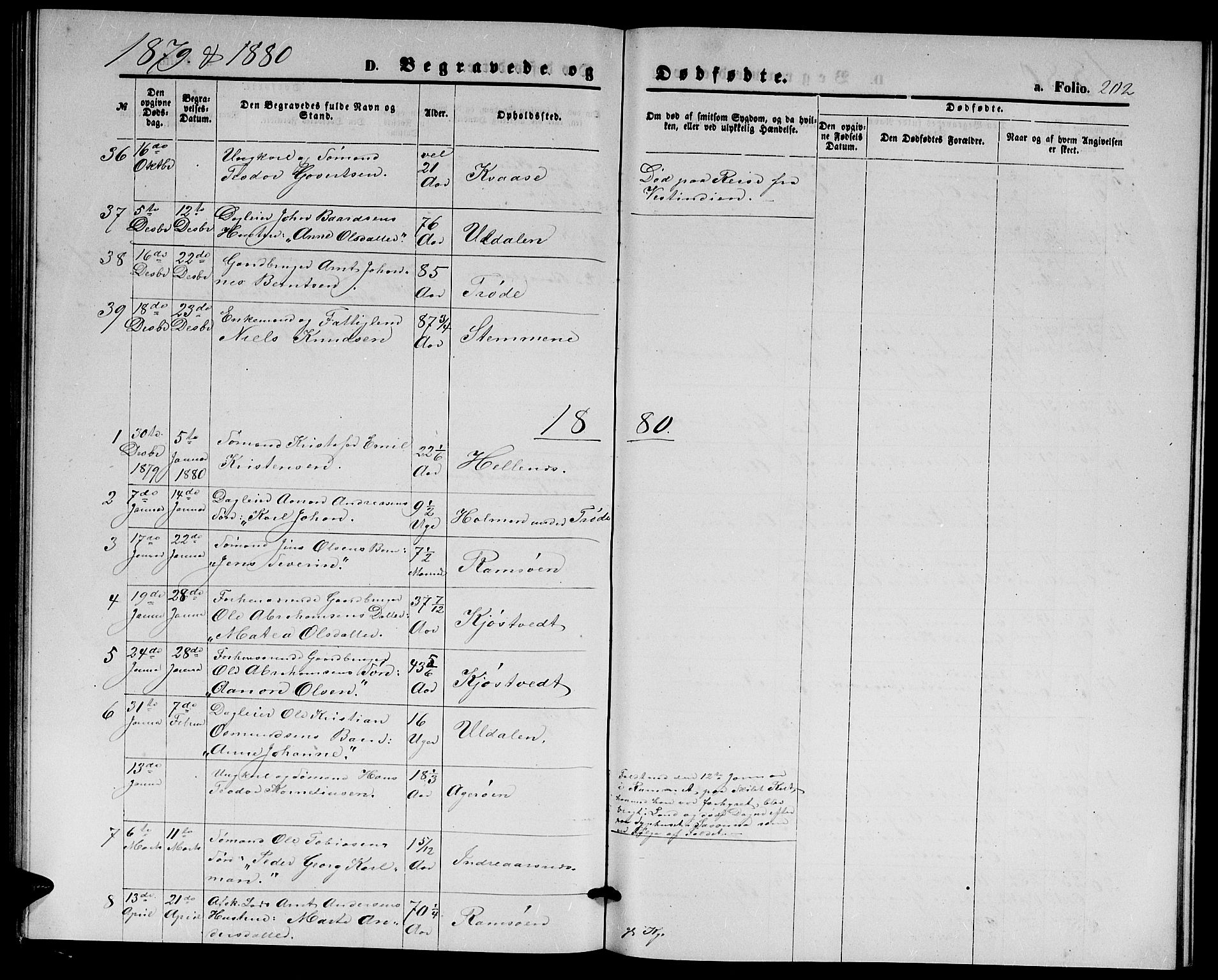 Høvåg sokneprestkontor, AV/SAK-1111-0025/F/Fb/L0003: Parish register (copy) no. B 3, 1870-1882, p. 202