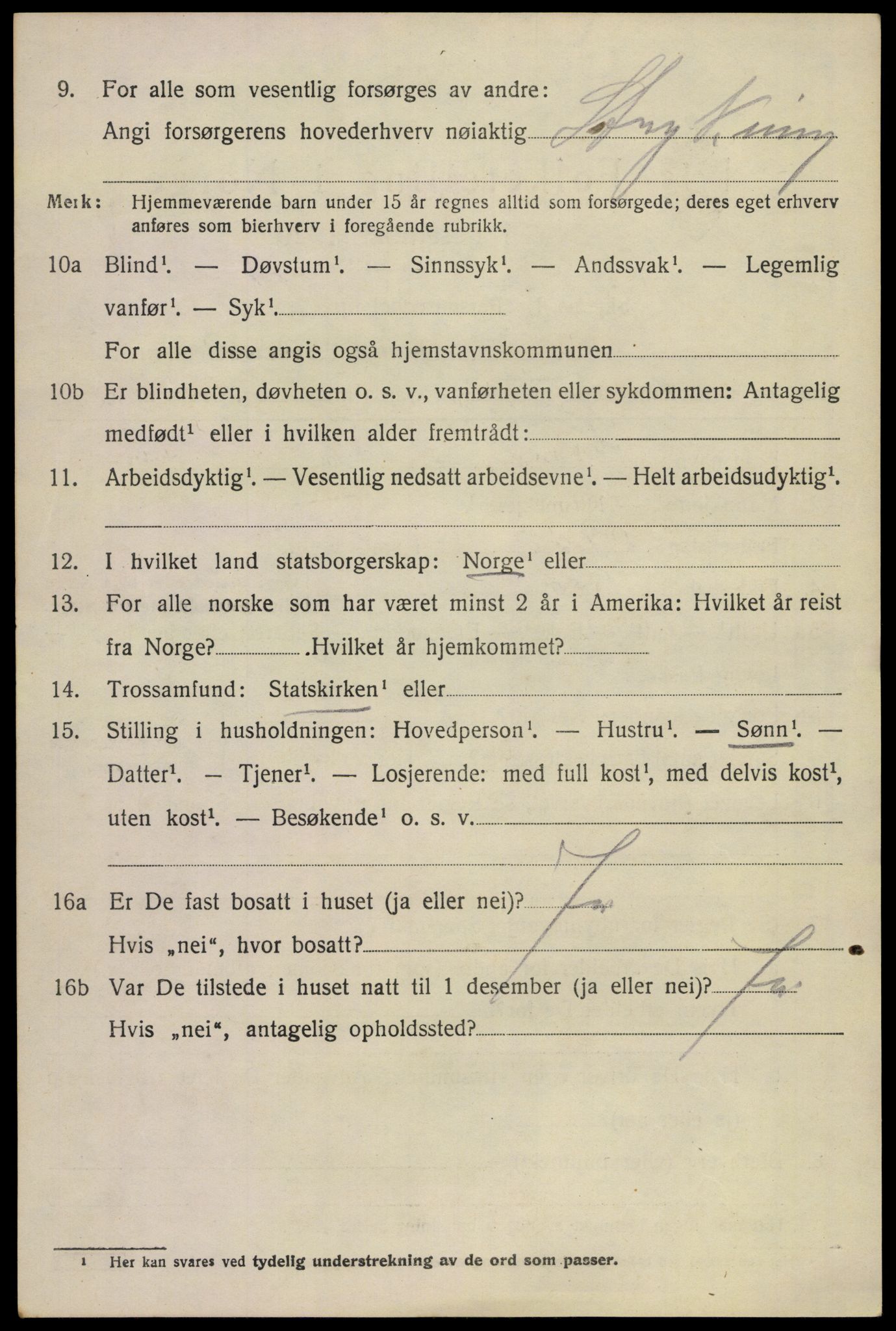 SAKO, 1920 census for Borre, 1920, p. 6197