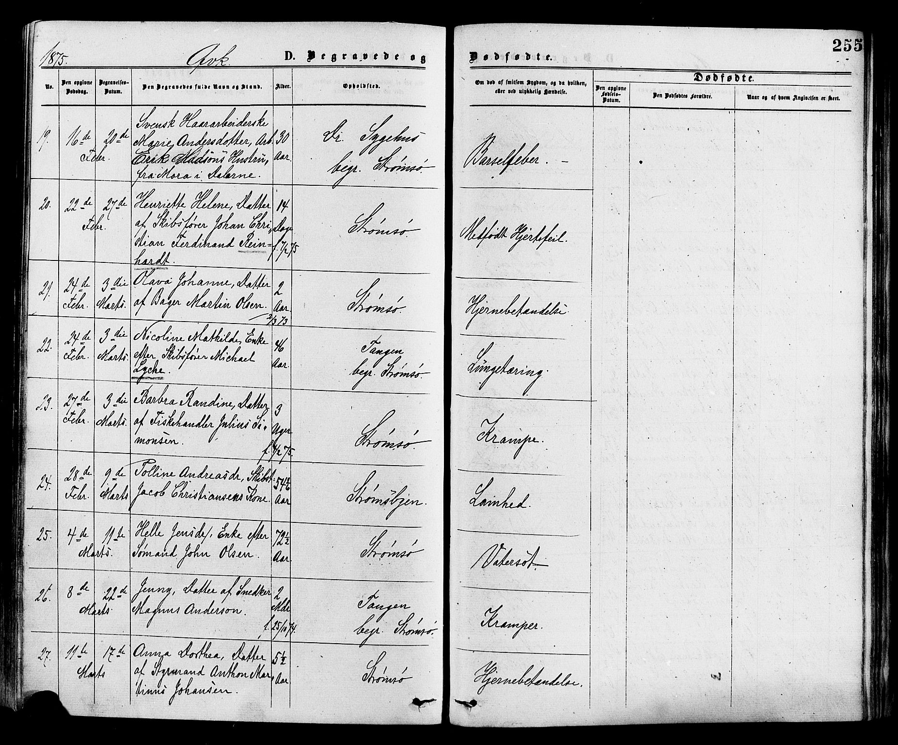 Strømsø kirkebøker, AV/SAKO-A-246/F/Fa/L0019: Parish register (official) no. I 19, 1874-1877, p. 255