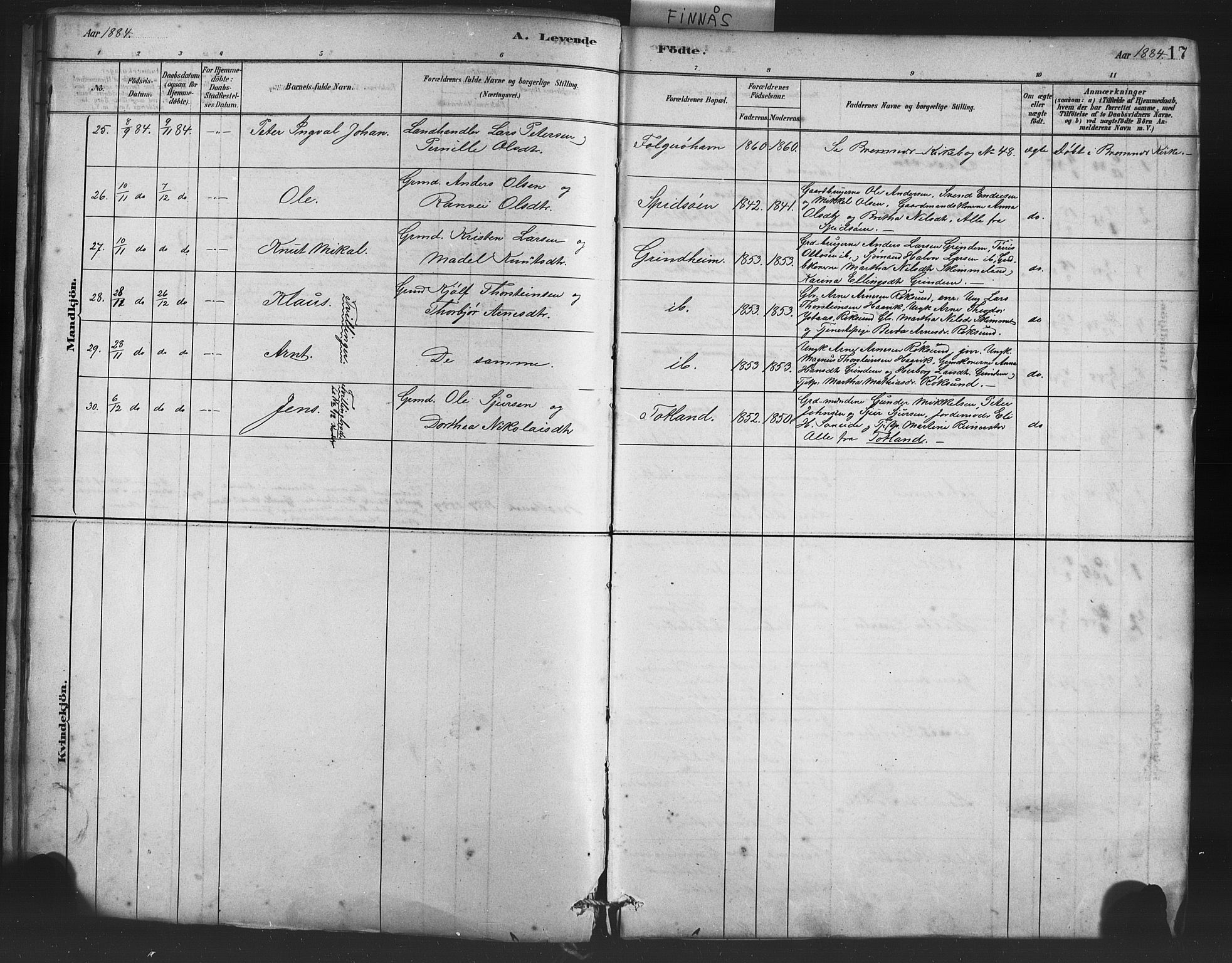 Finnås sokneprestembete, AV/SAB-A-99925/H/Ha/Haa/Haab/L0001: Parish register (official) no. B 1, 1881-1894, p. 17