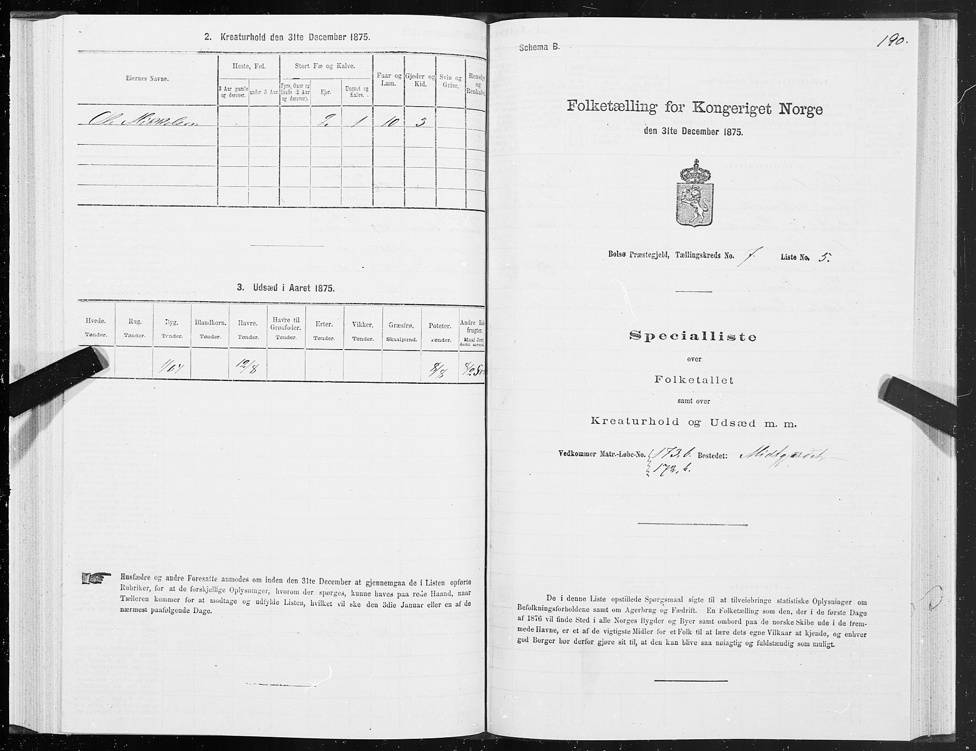 SAT, 1875 census for 1544P Bolsøy, 1875, p. 4190