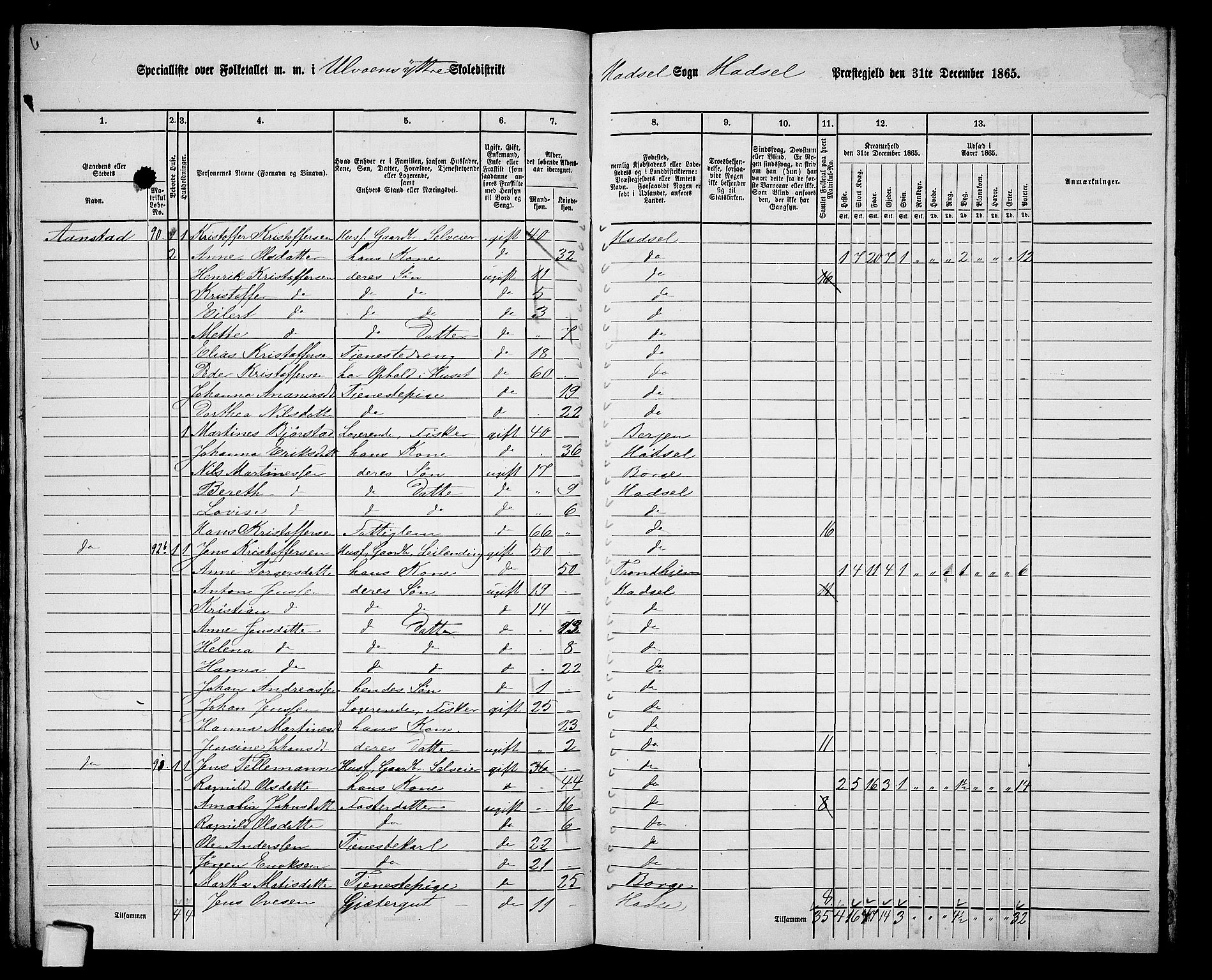 RA, 1865 census for Hadsel, 1865, p. 91