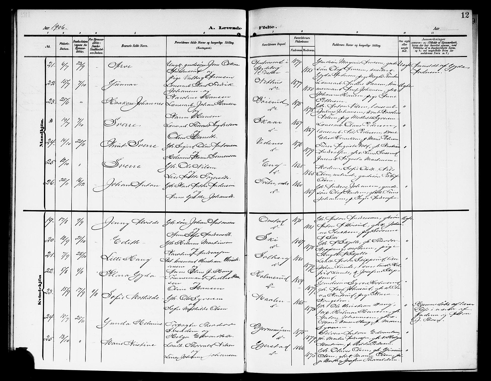 Skiptvet prestekontor Kirkebøker, SAO/A-20009/G/Ga/L0002: Parish register (copy) no. 2, 1905-1915, p. 12