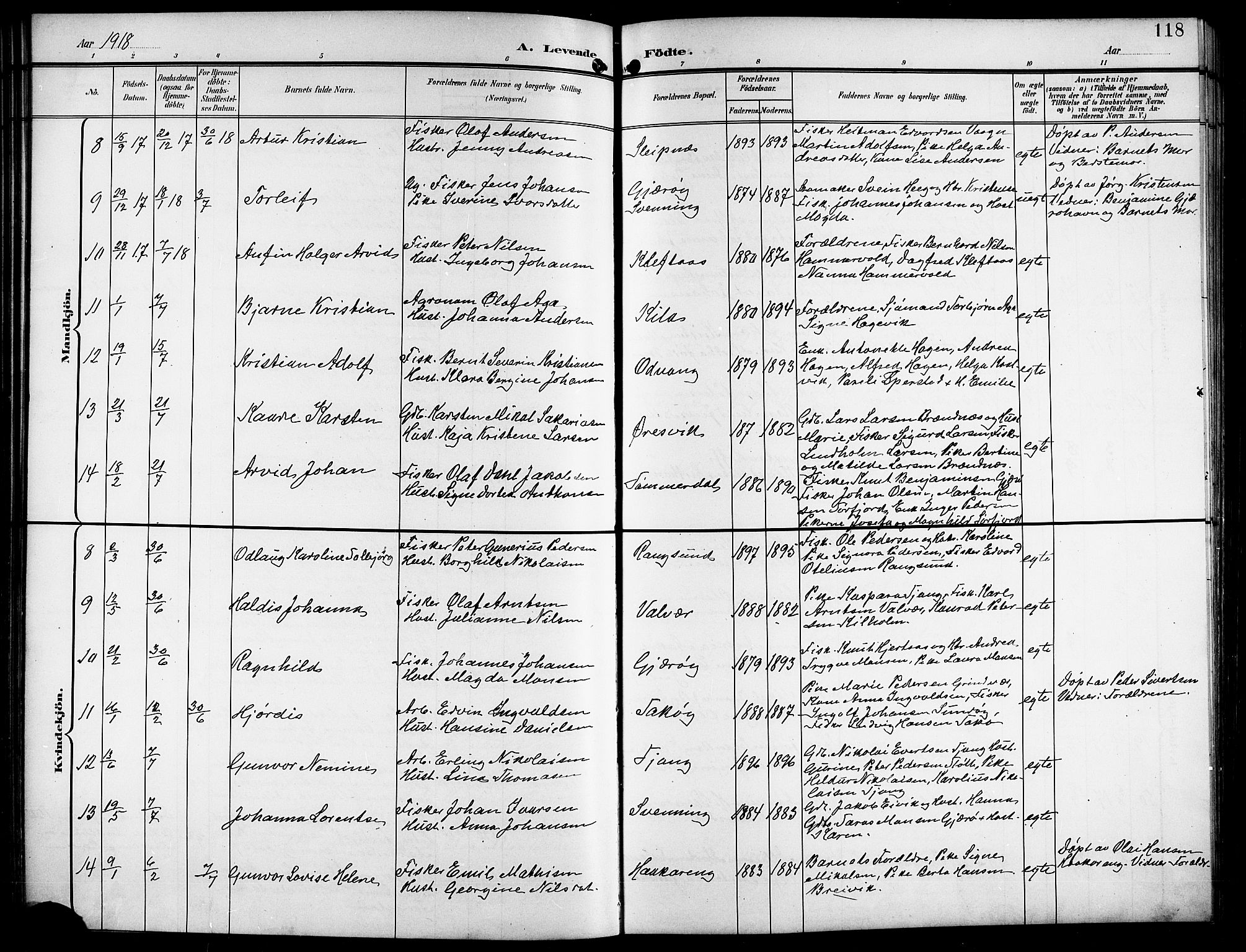 Ministerialprotokoller, klokkerbøker og fødselsregistre - Nordland, AV/SAT-A-1459/841/L0621: Parish register (copy) no. 841C05, 1897-1923, p. 118