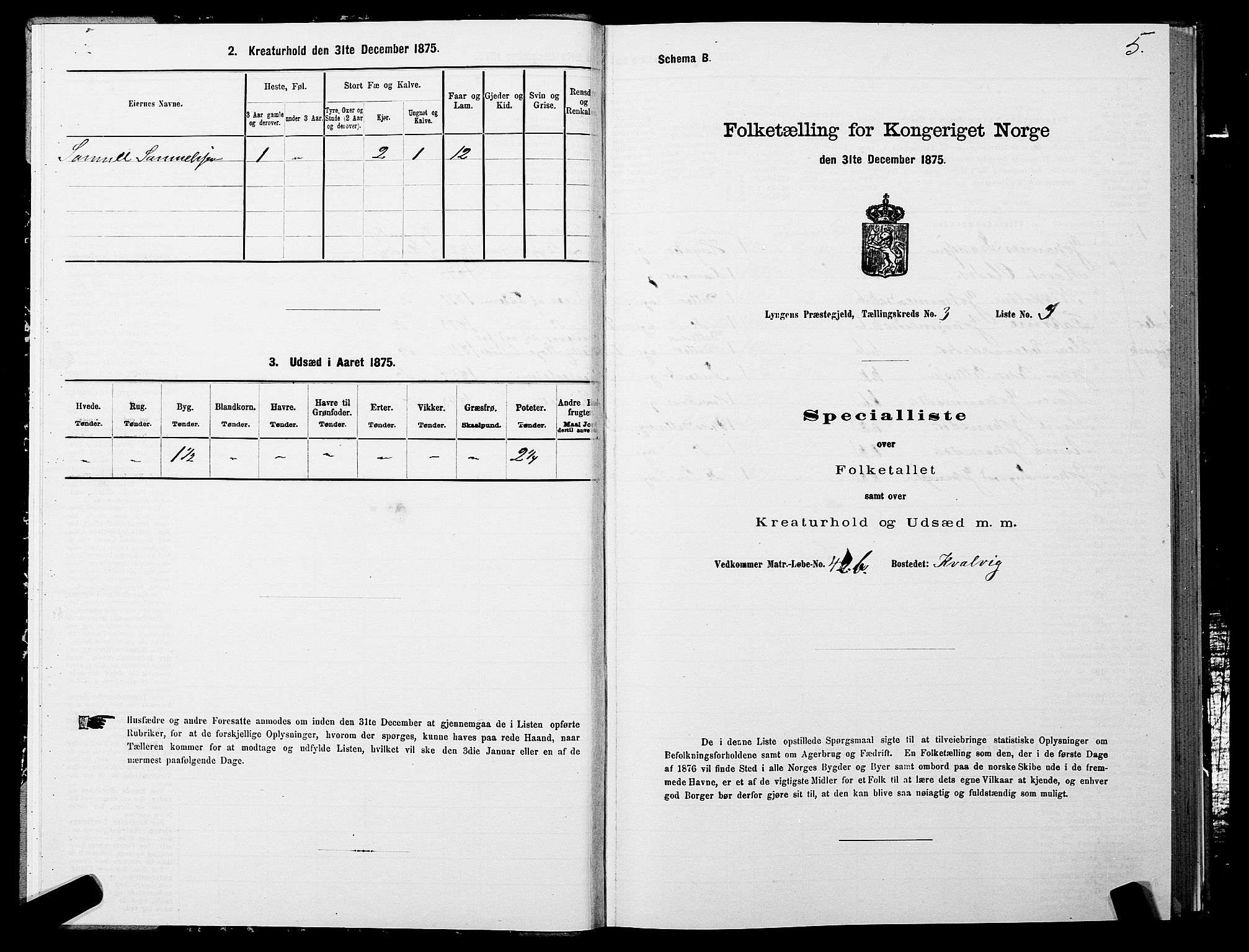 SATØ, 1875 census for 1938P Lyngen, 1875, p. 3005