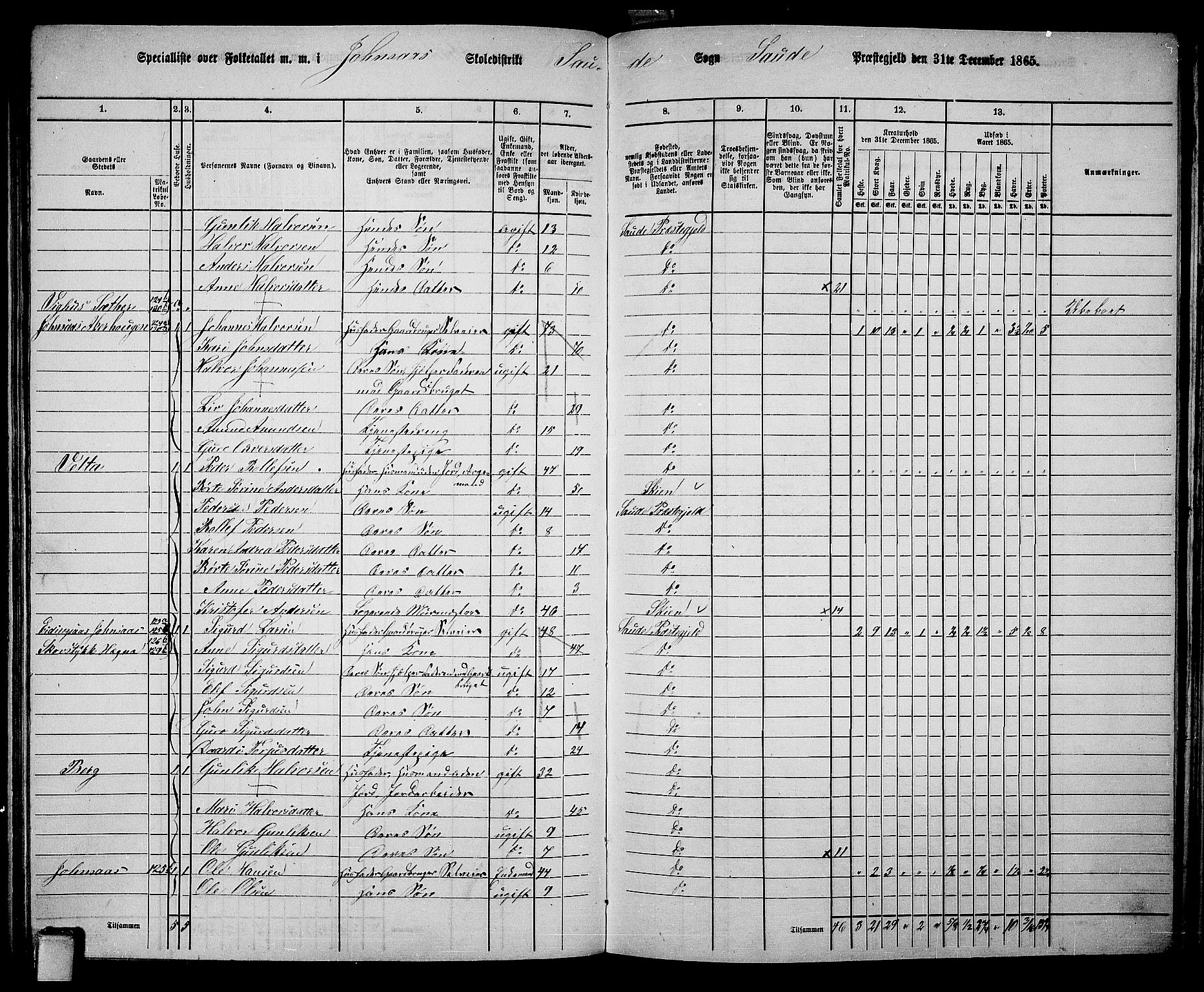 RA, 1865 census for Sauherad, 1865, p. 104